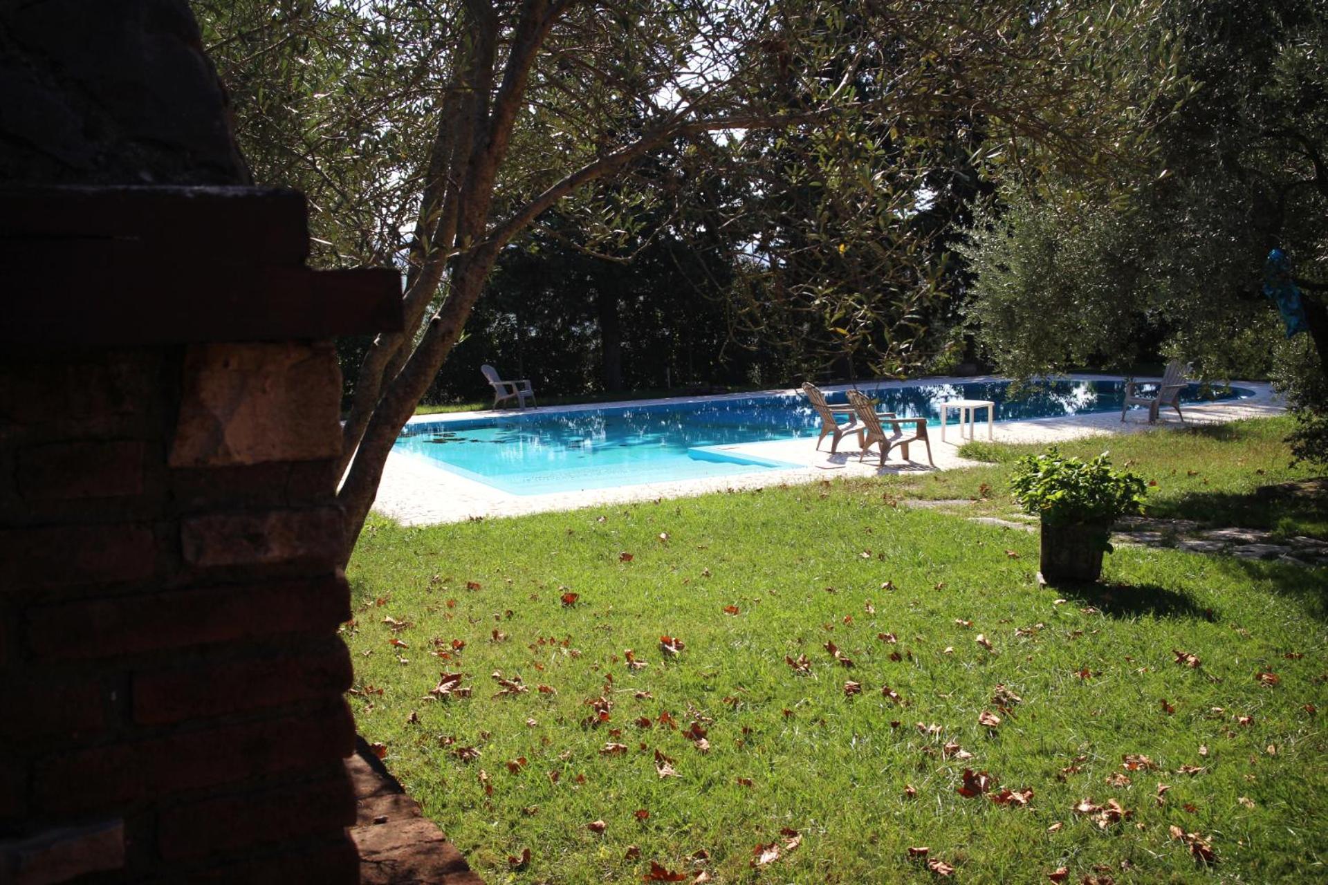 Photo 43