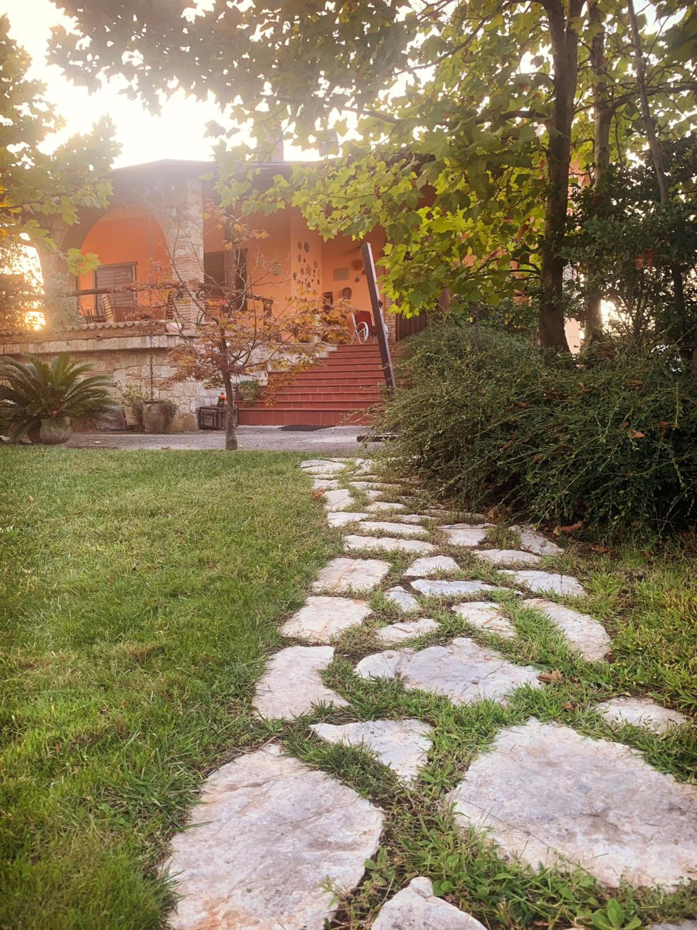 Photo 42