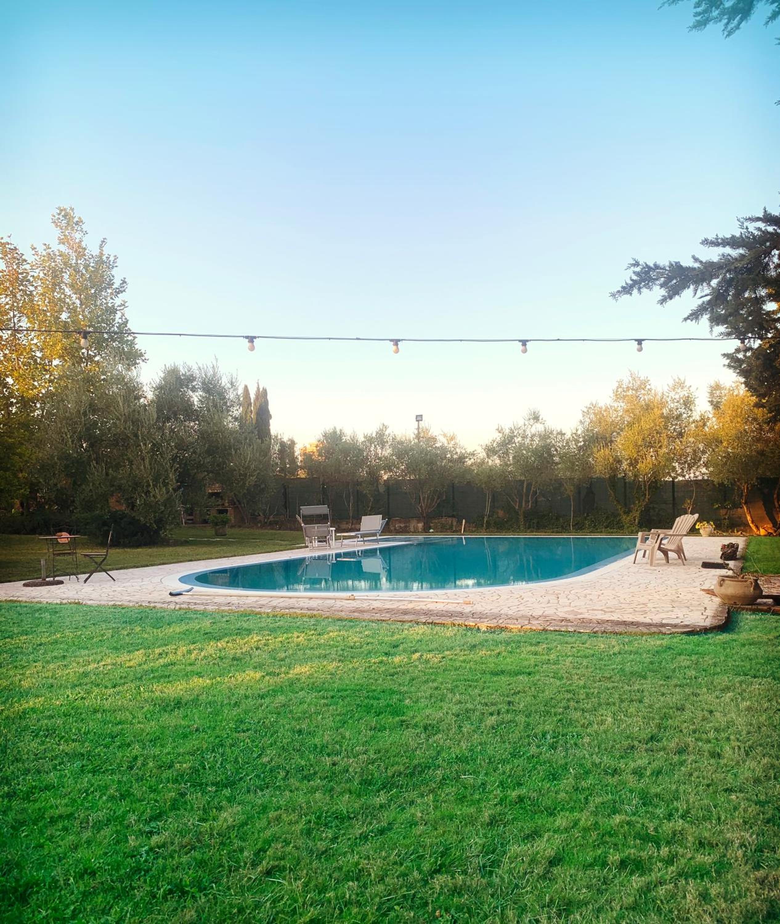 Photo 46