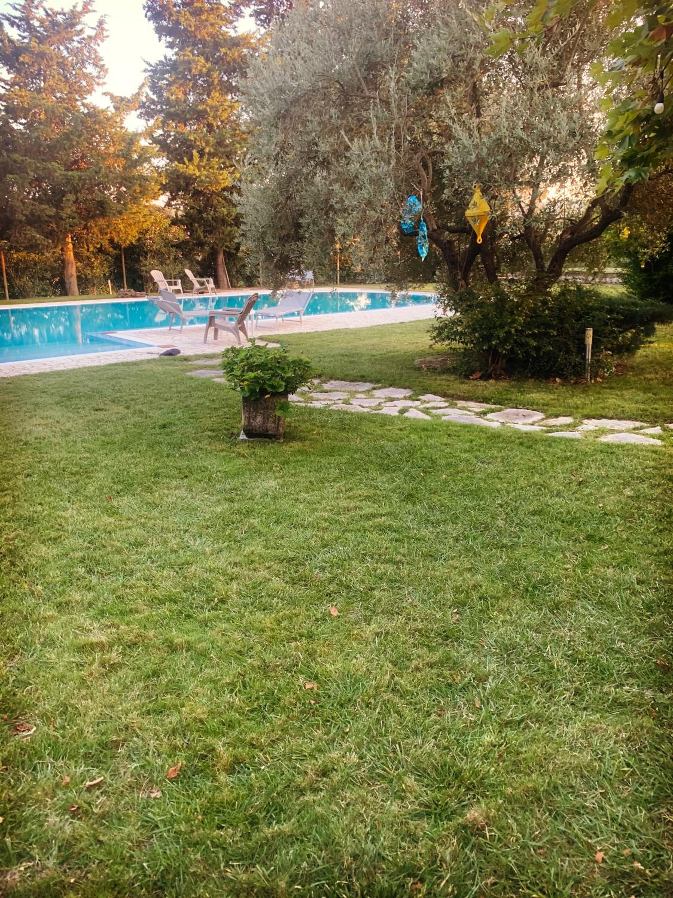 Photo 49