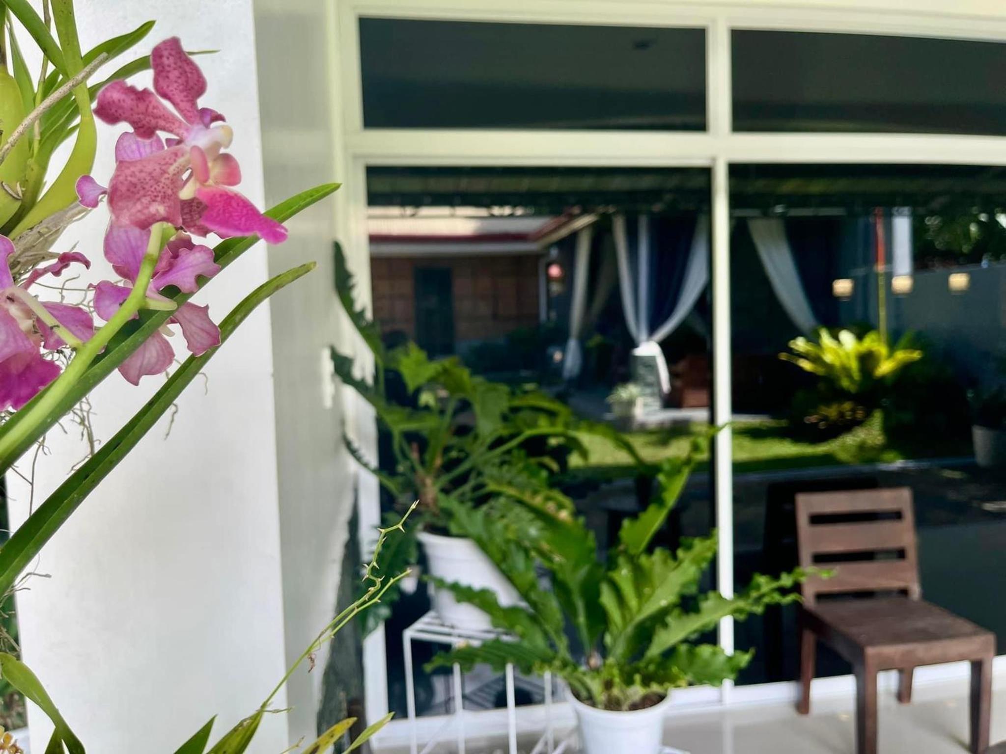 Diez Dregger Fully Furnished Apartments