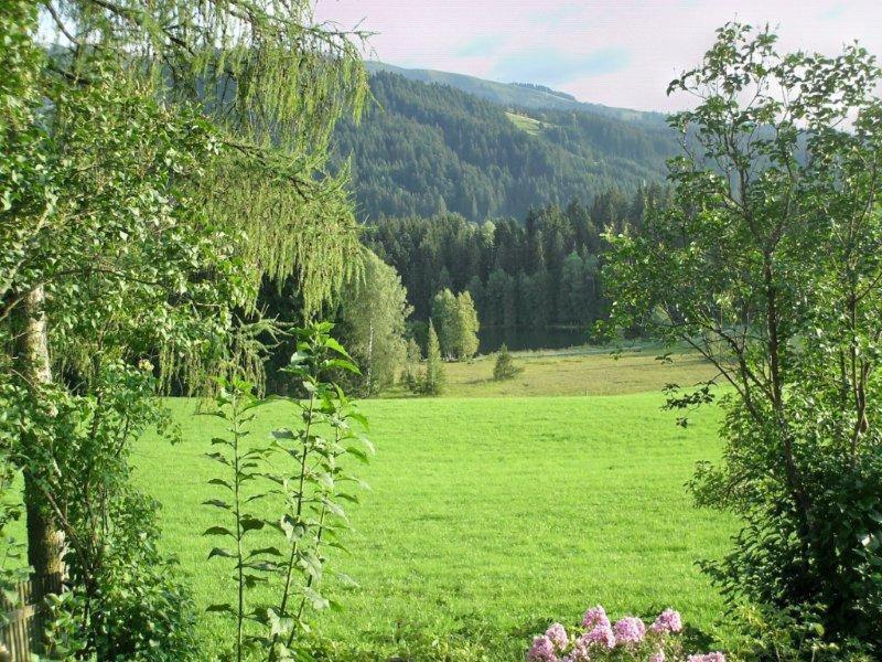 Wald am See