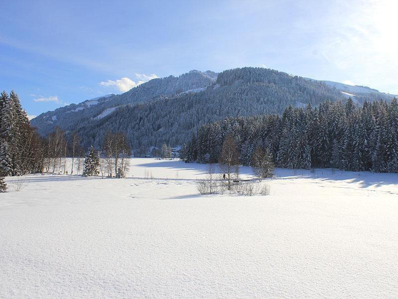 Wald am See