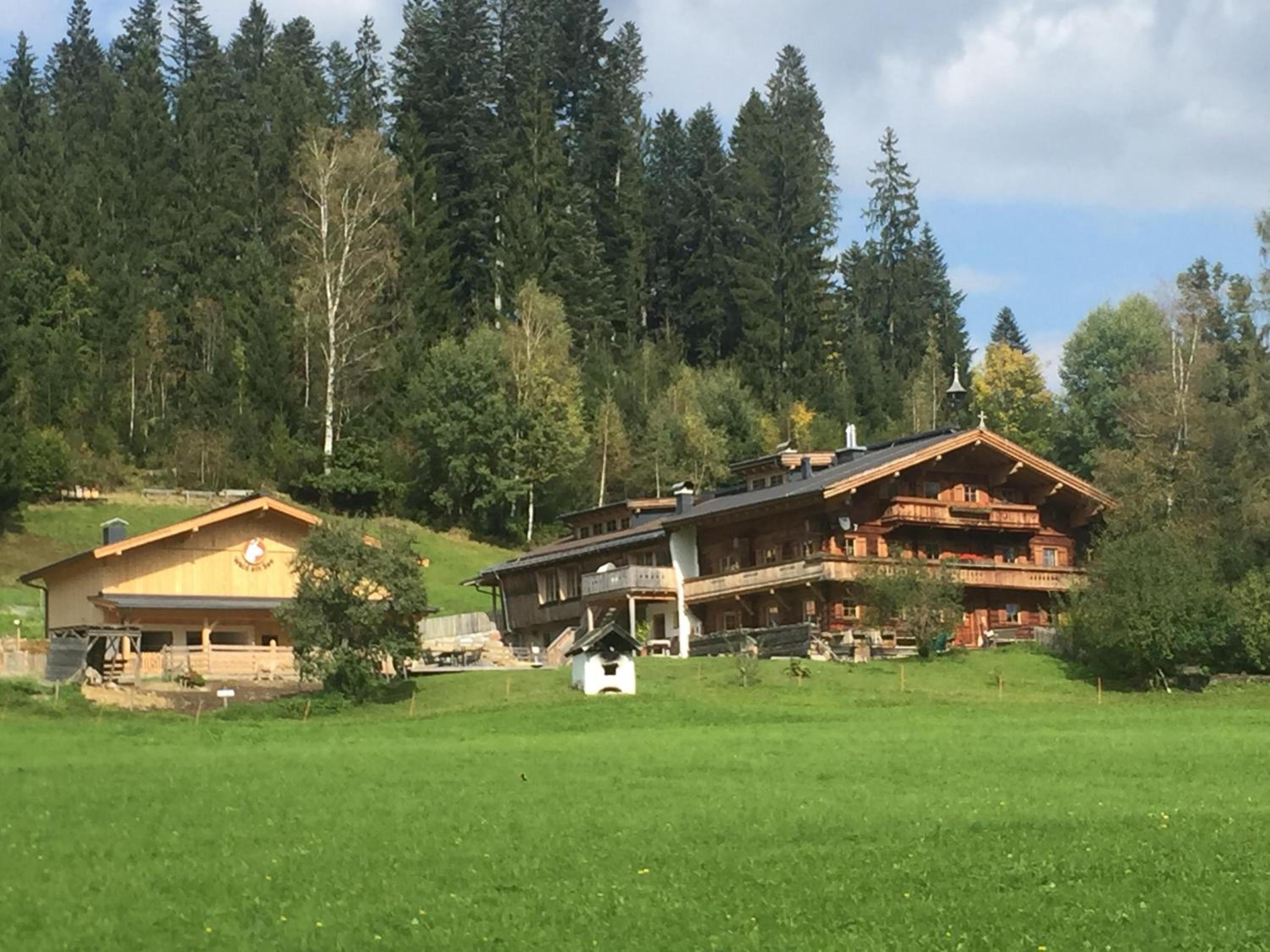 Wald am See