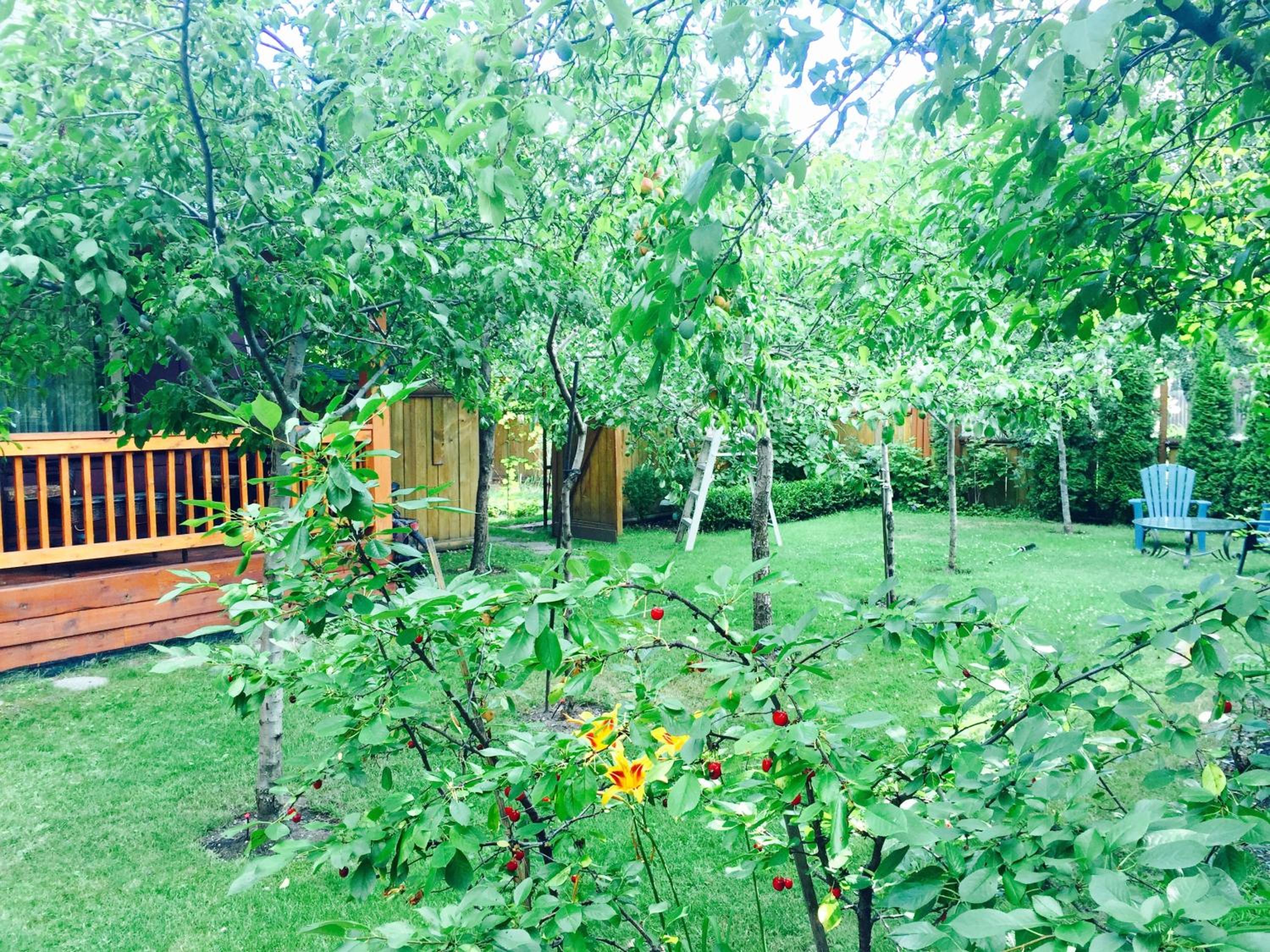 Luna Bed & Breakfast