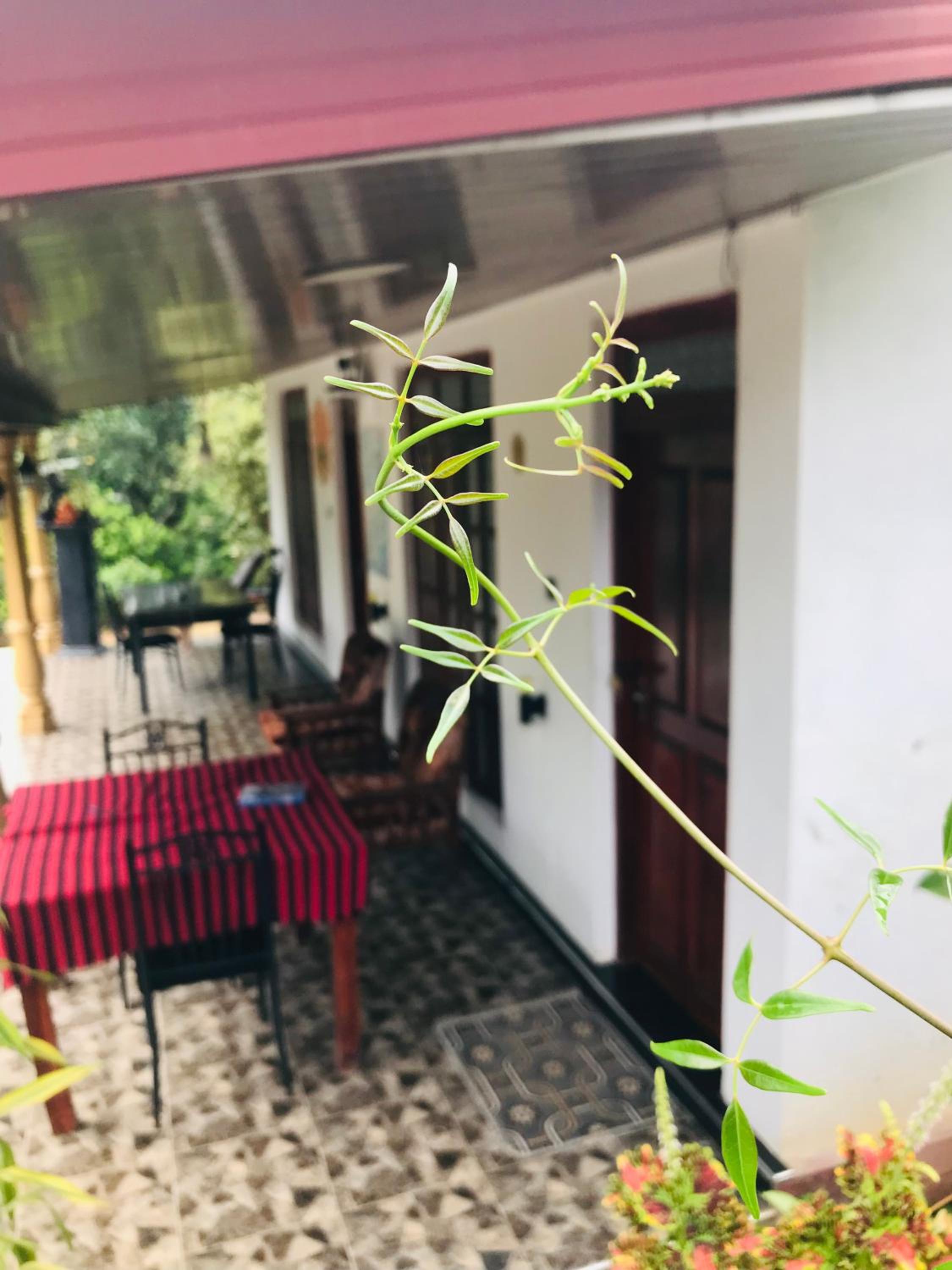 Cinnamon Homestay ella