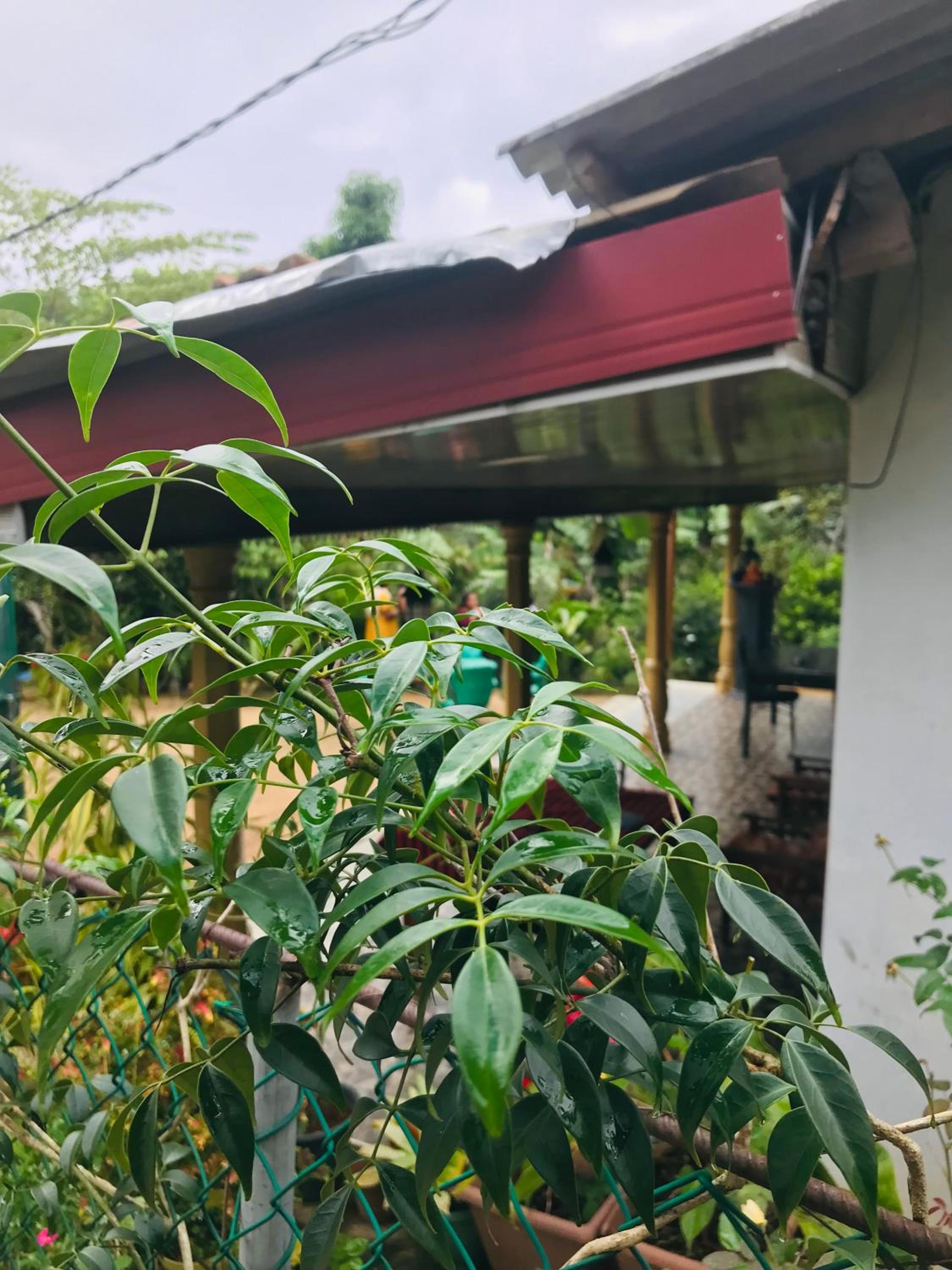 Cinnamon Homestay ella