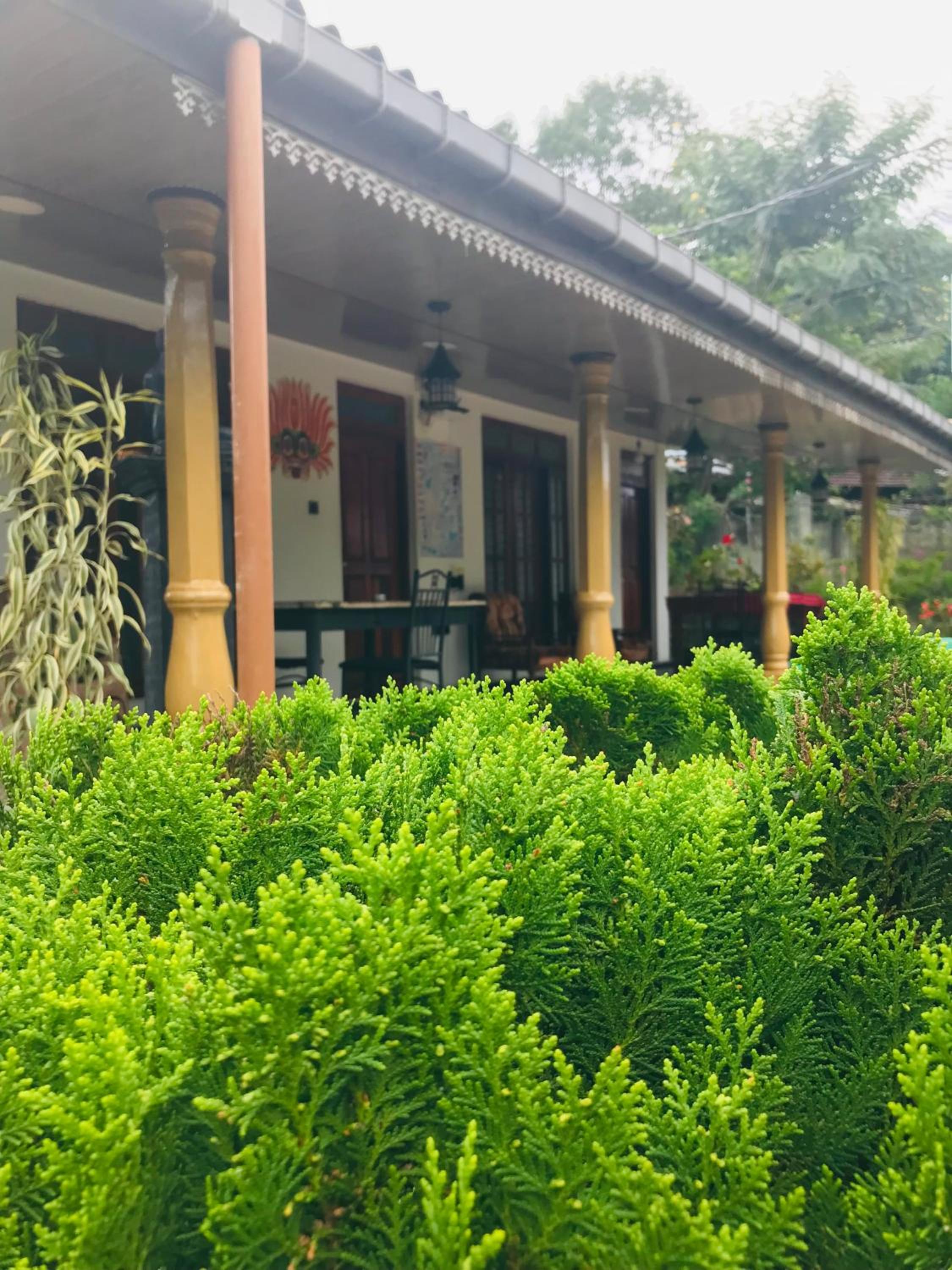 Cinnamon Homestay ella