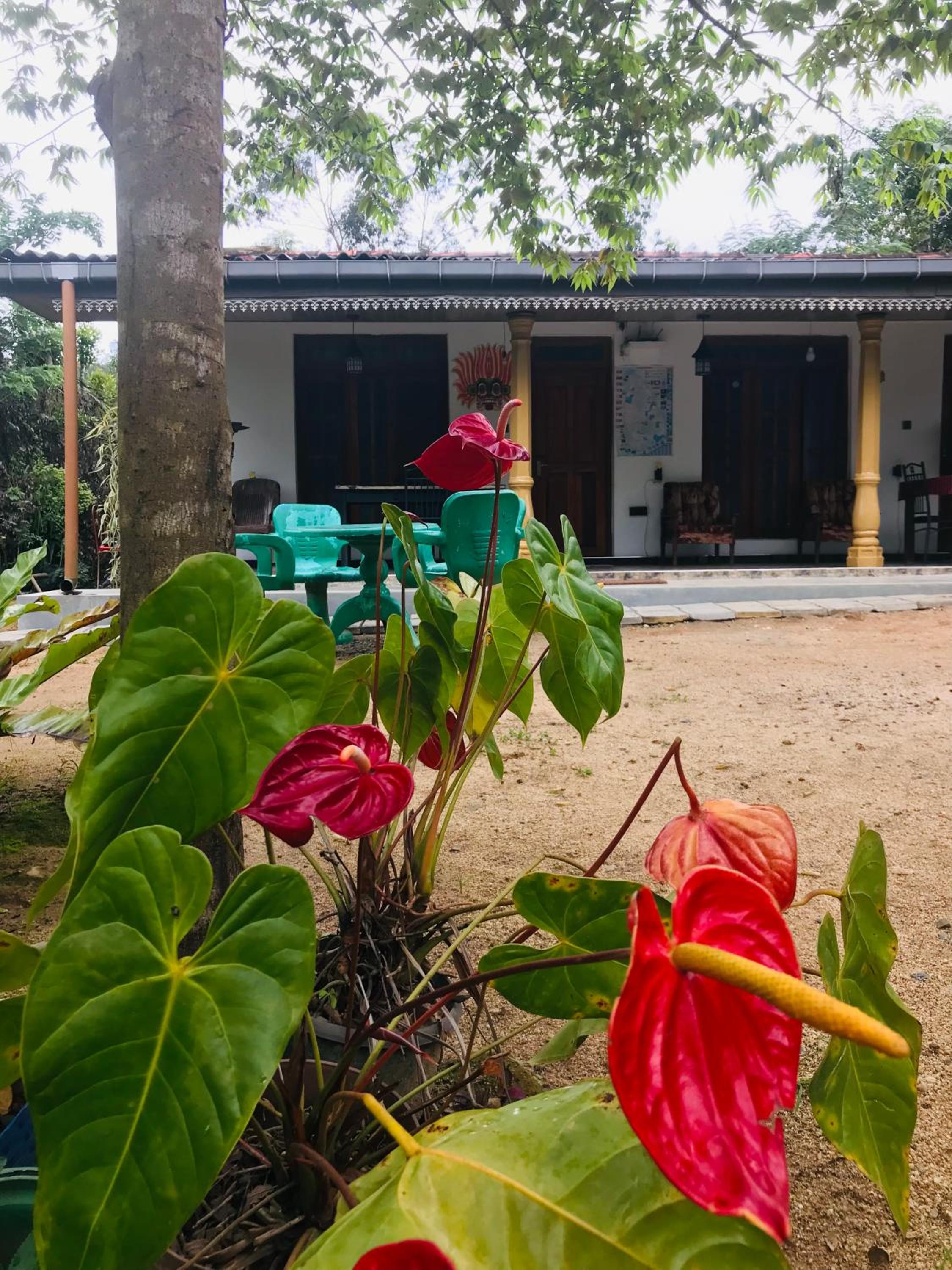 Cinnamon Homestay ella