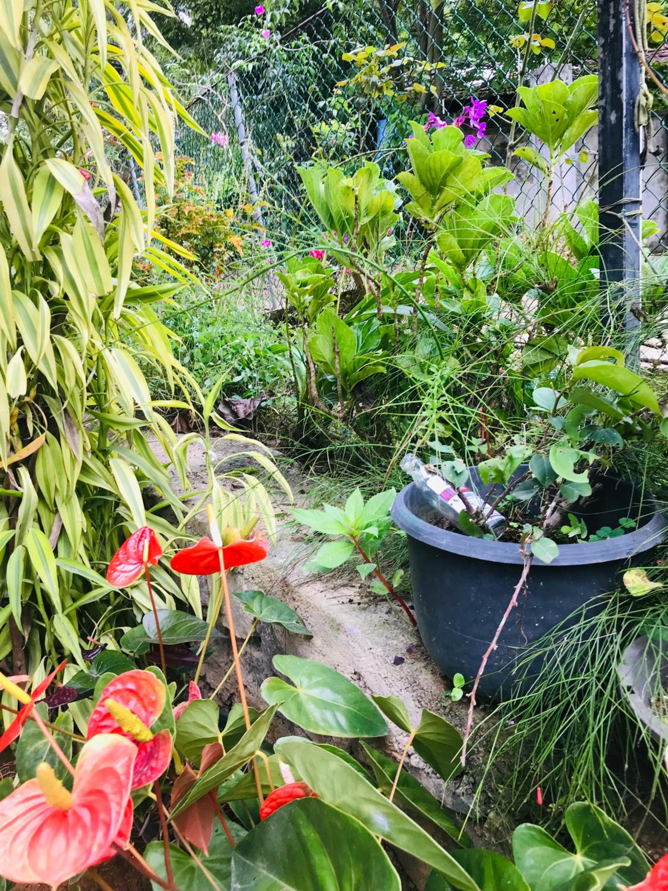Cinnamon Homestay ella