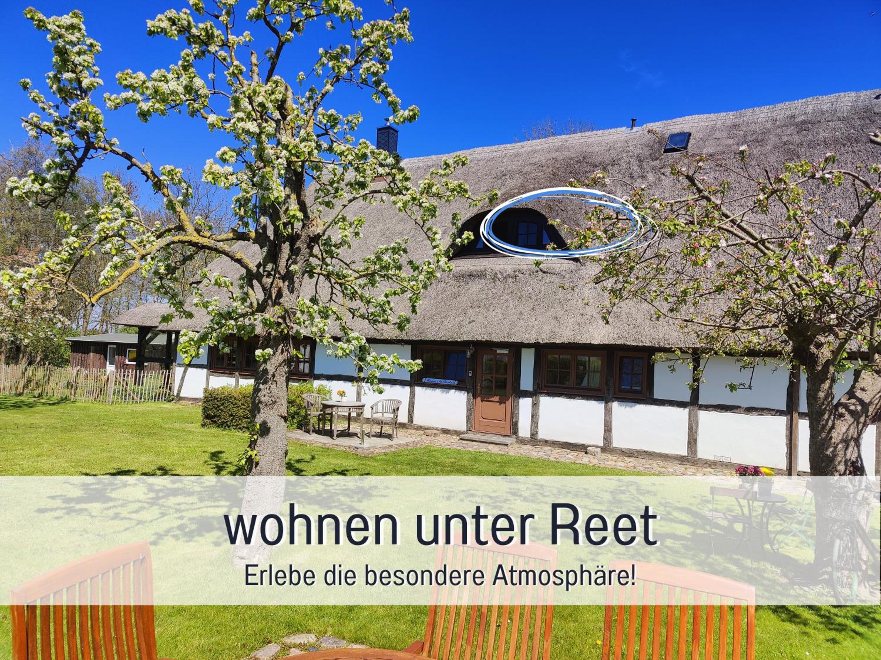 Reetmeer Apartments Spa & Reetdach am Salzhaff