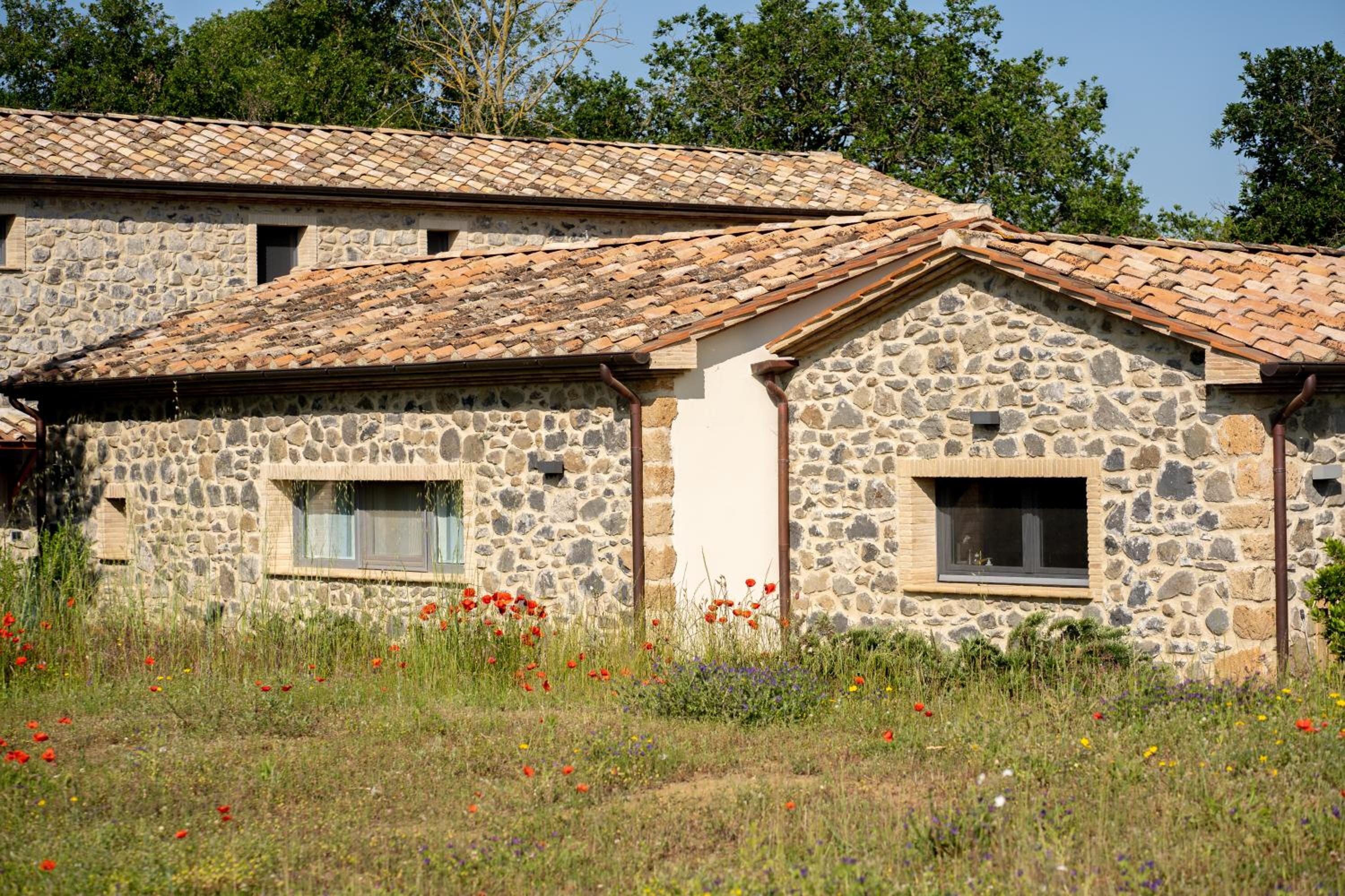 Casa Vespina Agriturismo Biologico view 5