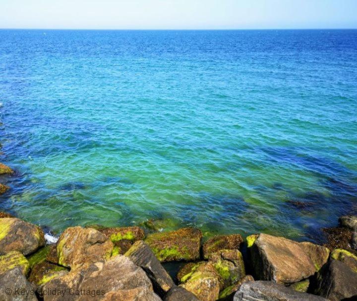Starry Seaview