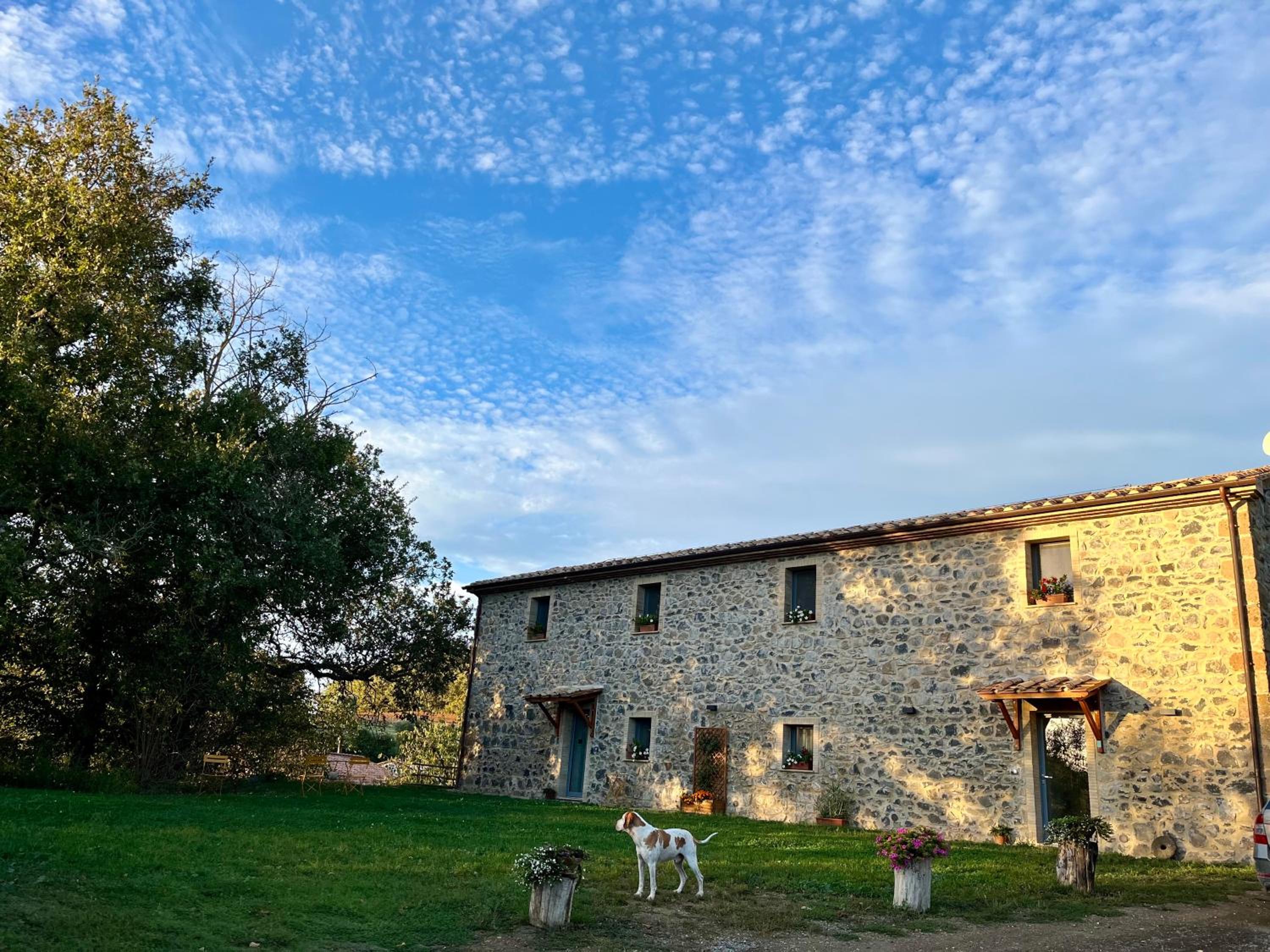 Casa Vespina Agriturismo Biologico view 4