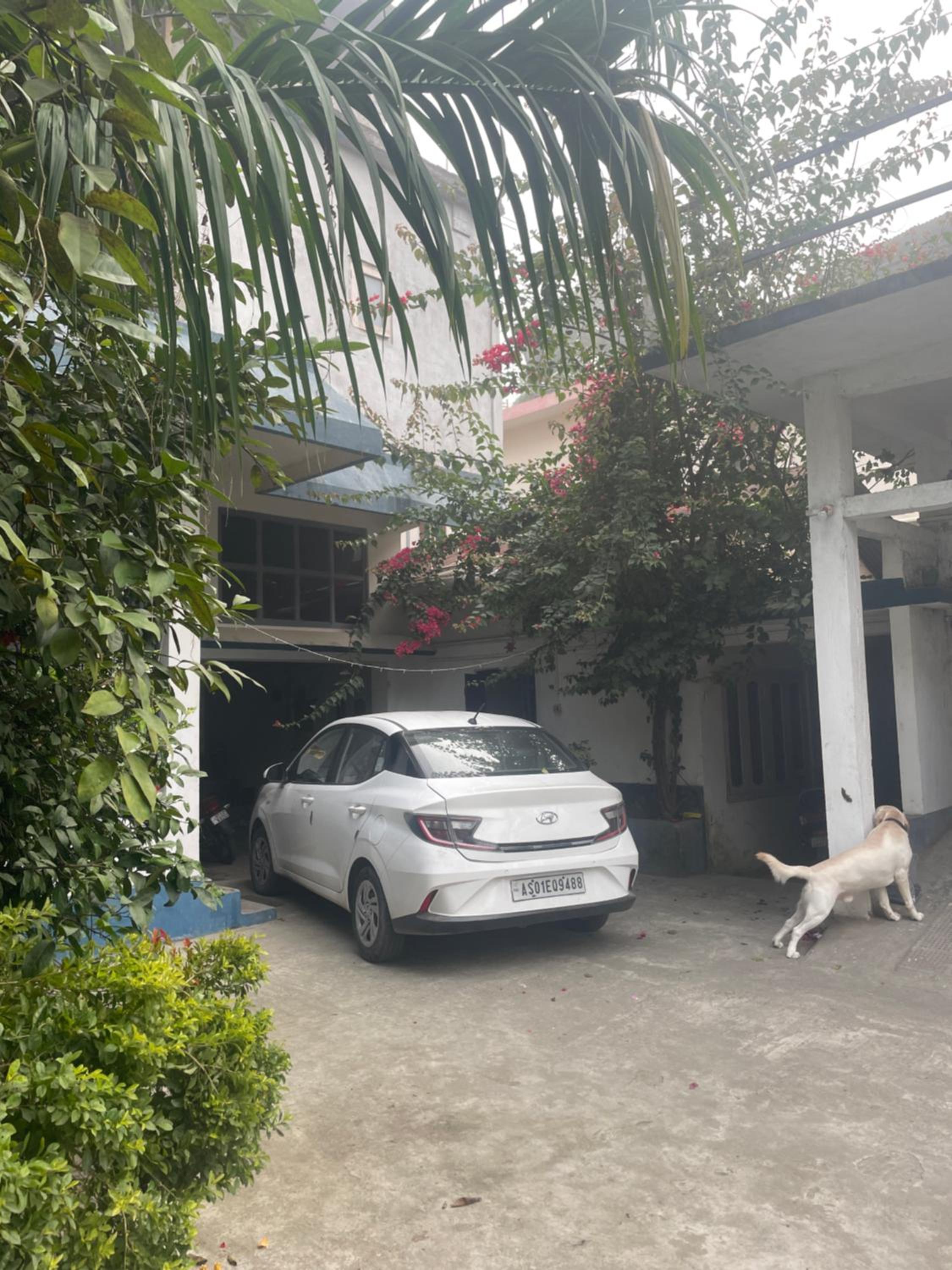 parking