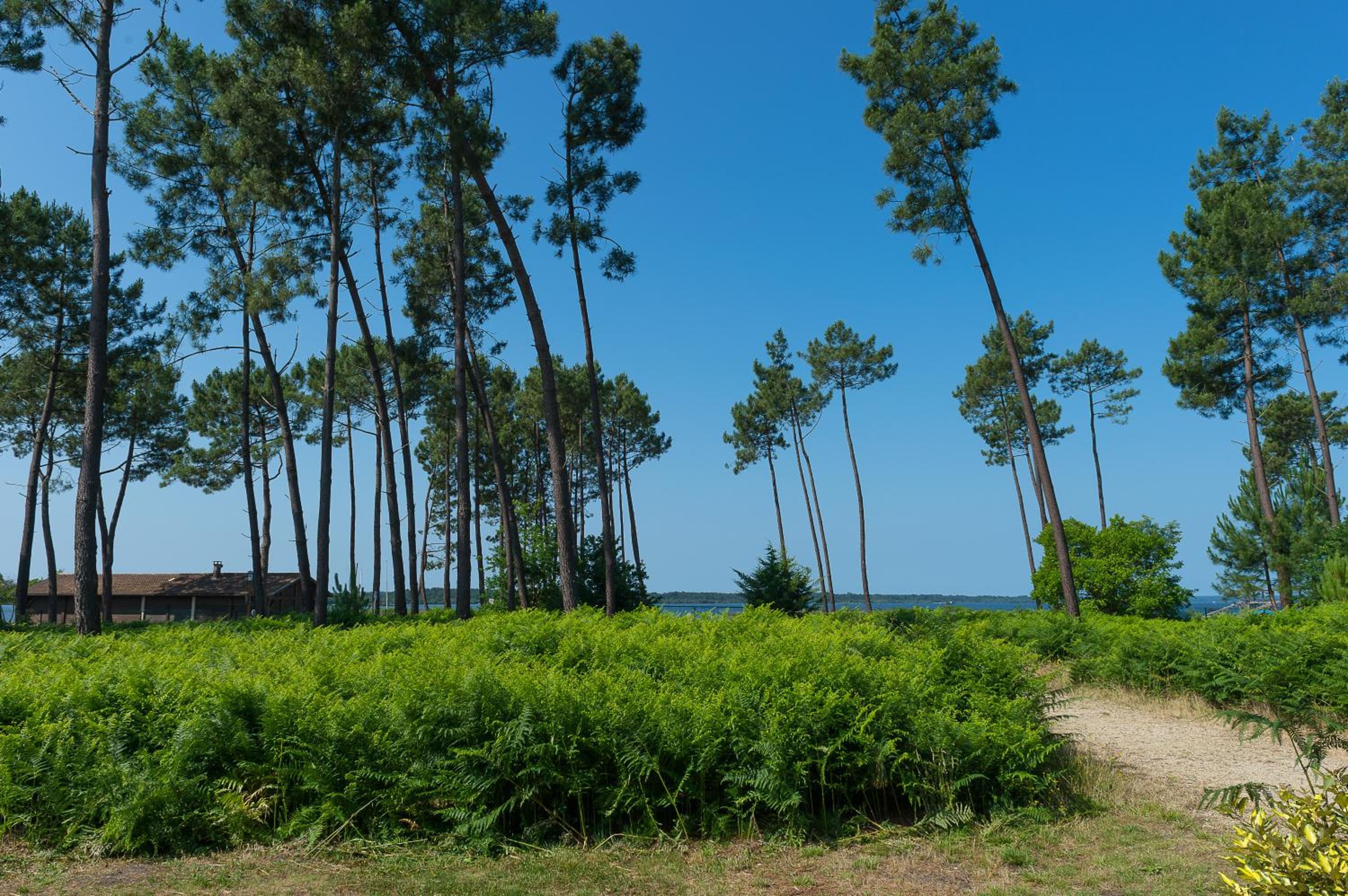 Les Cottages Du Lac