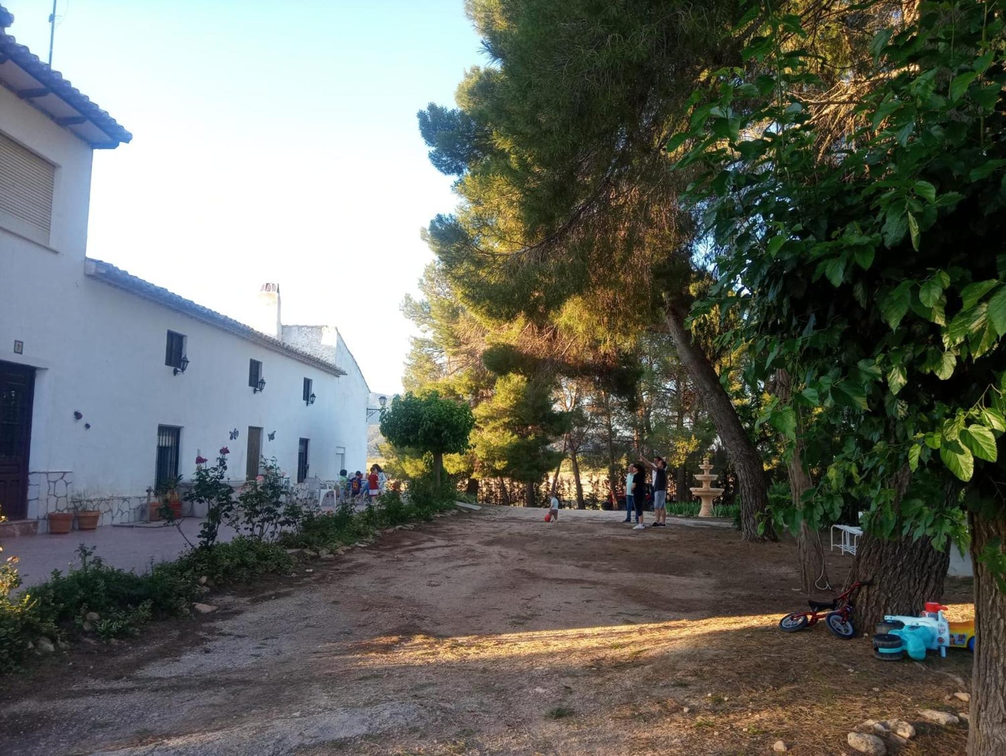 Photo 41