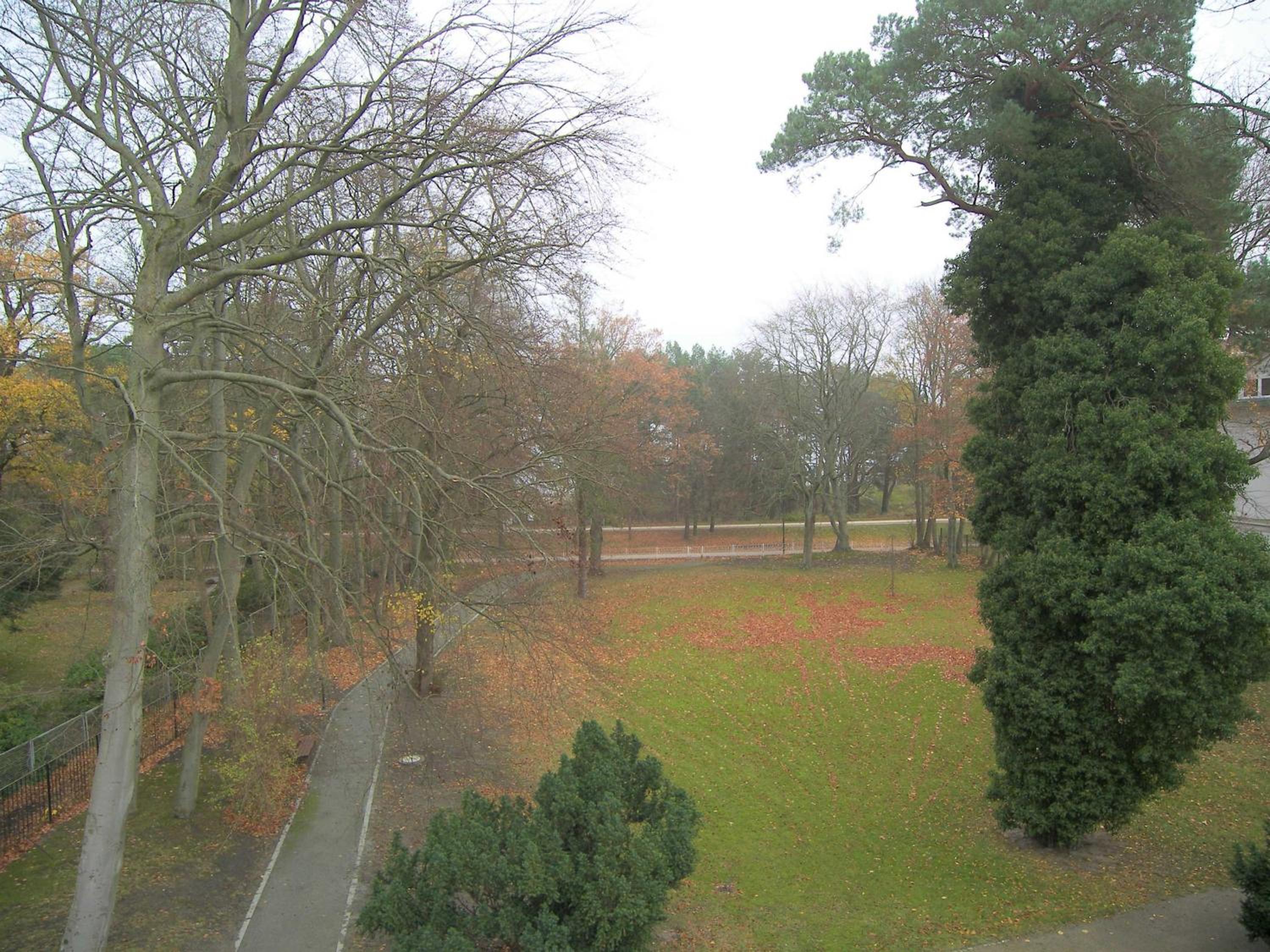 Tarnowskis Villa Seeblick, nur 50m zum Strand, WLAN inkl