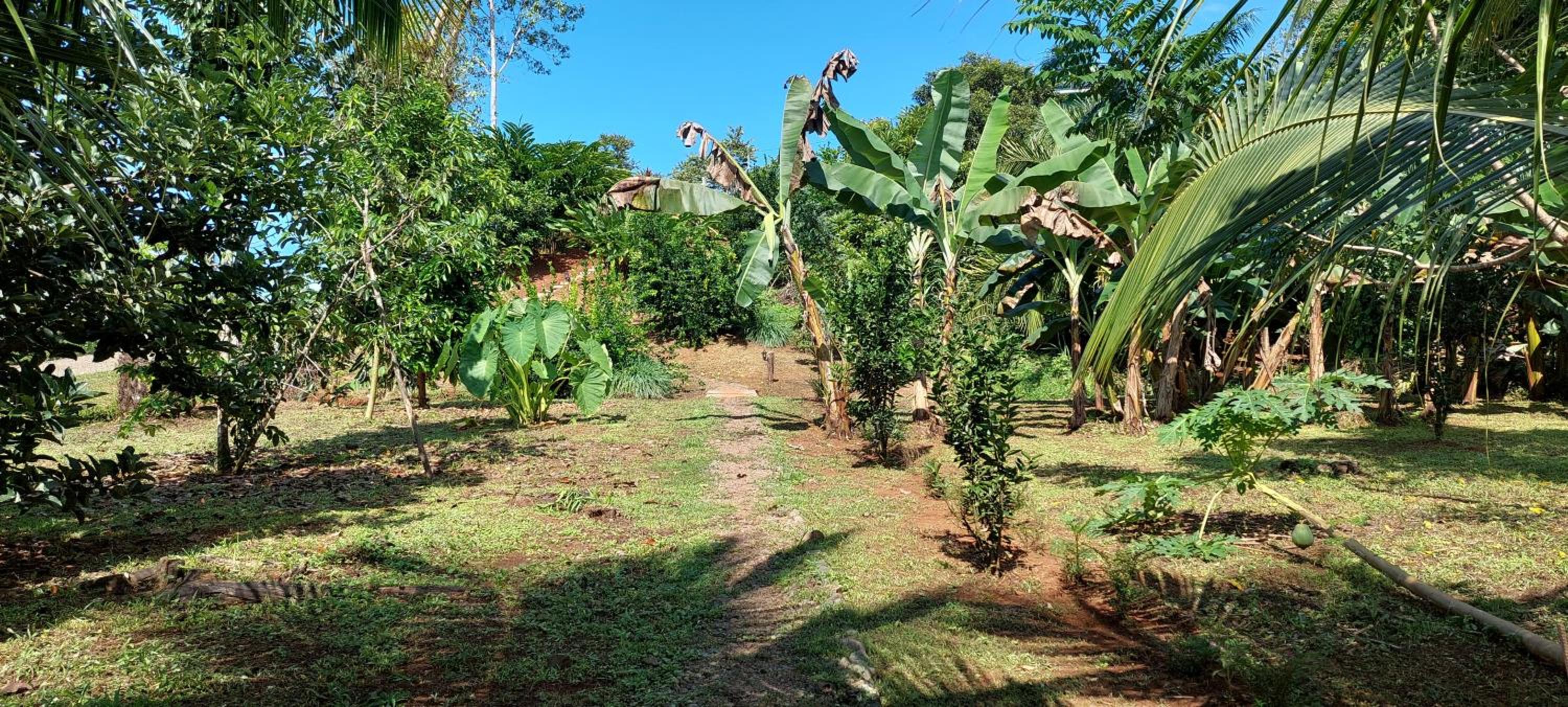 Corcovado Bungalows
