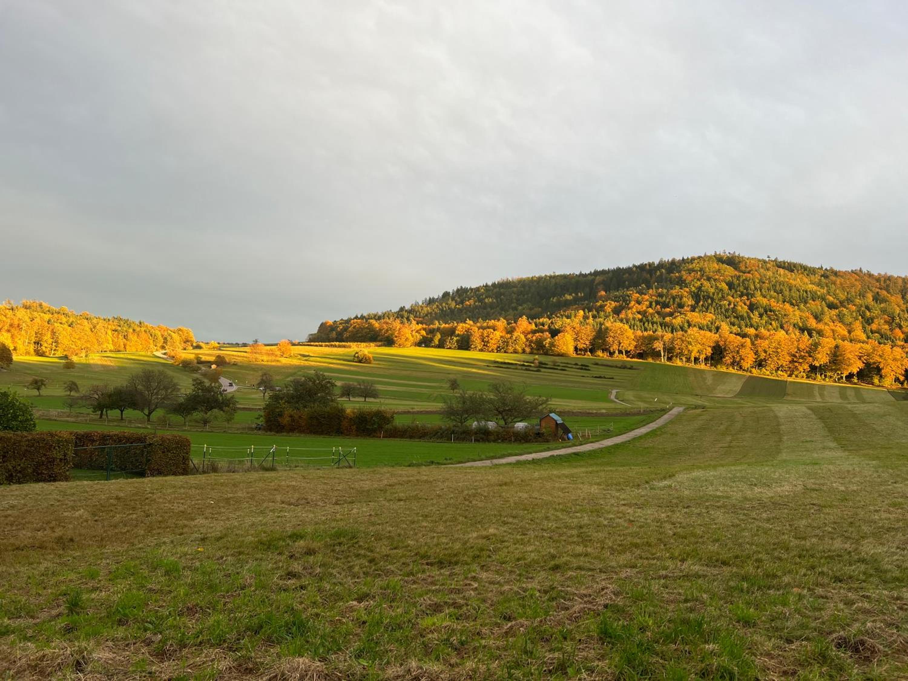 Ferienwohnung Brack in Gaggenau, Schwarzwald