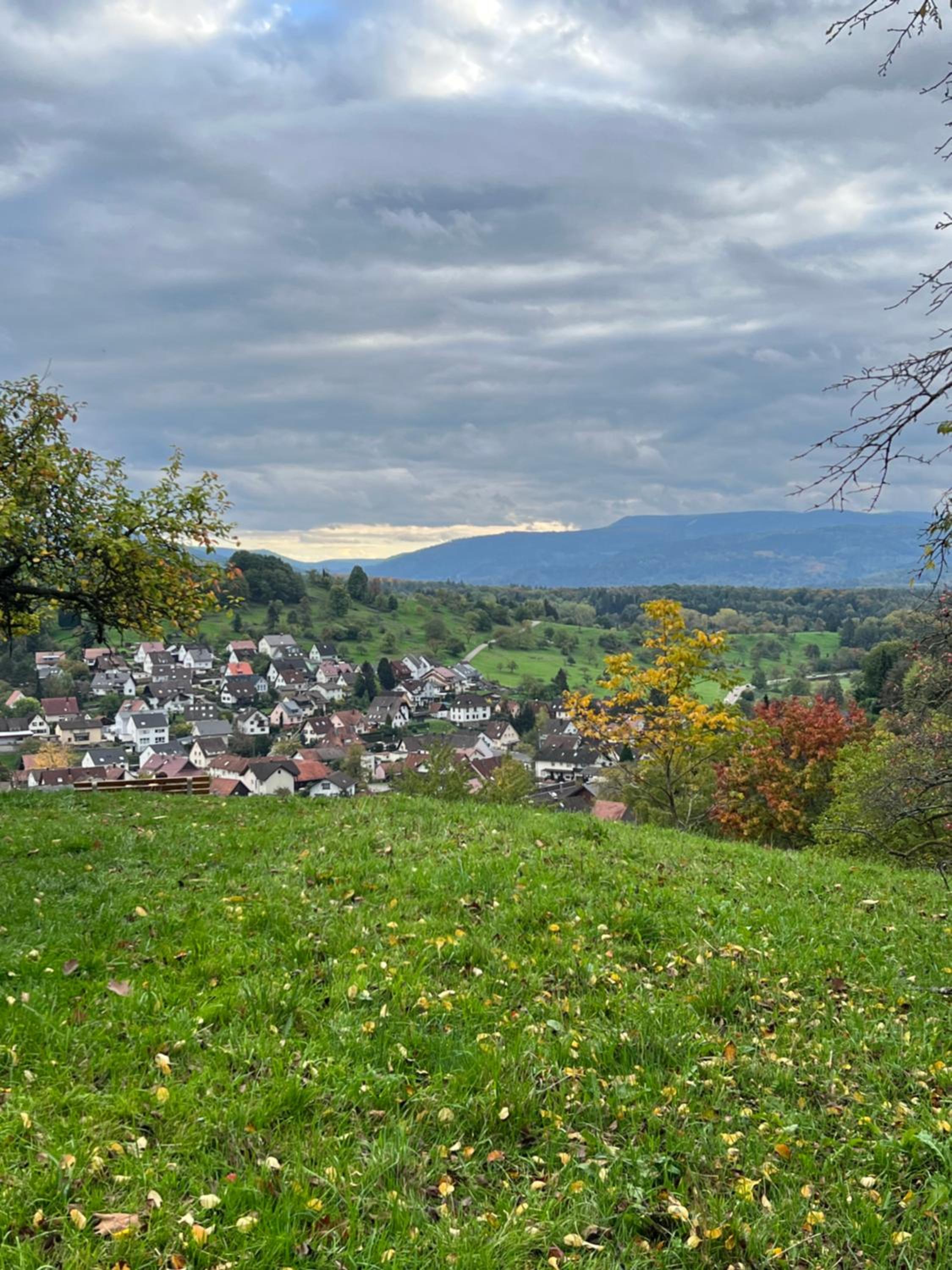 Ferienwohnung Brack in Gaggenau, Schwarzwald