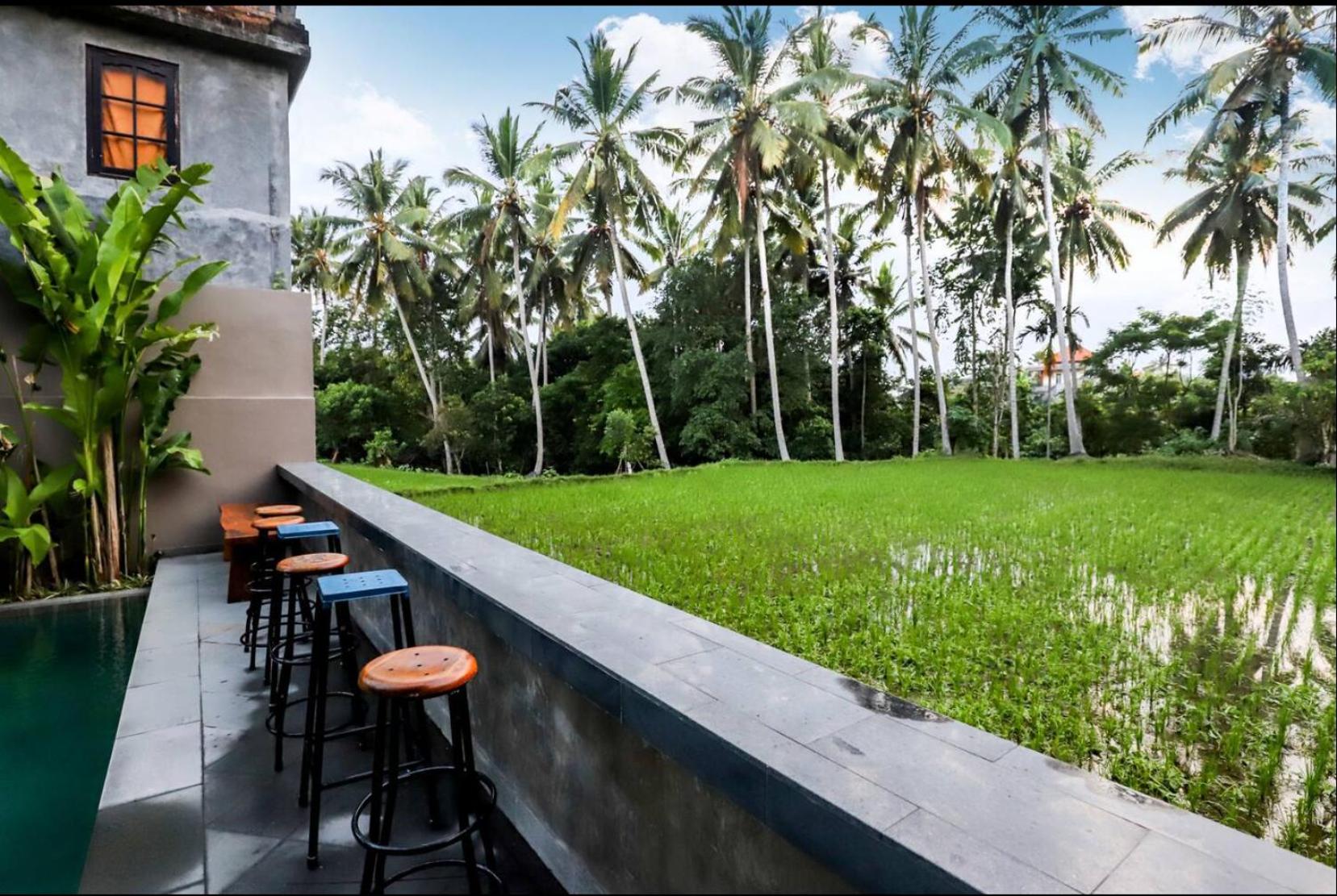 Harmony House 4, 2 min Ubud Center Room Near Pool view 3
