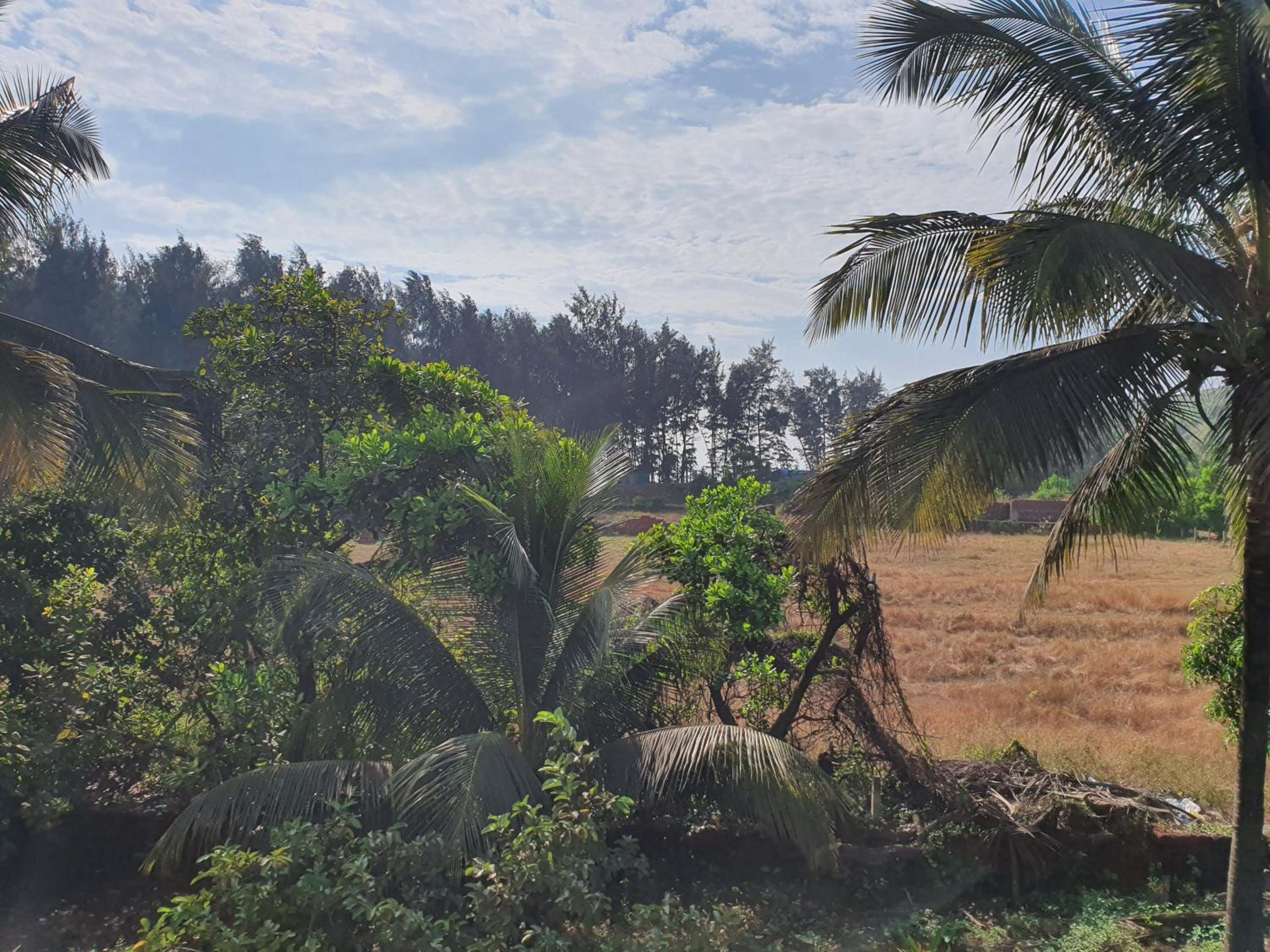 Kshudha-Shanti Homestay (MTDC-Approved)