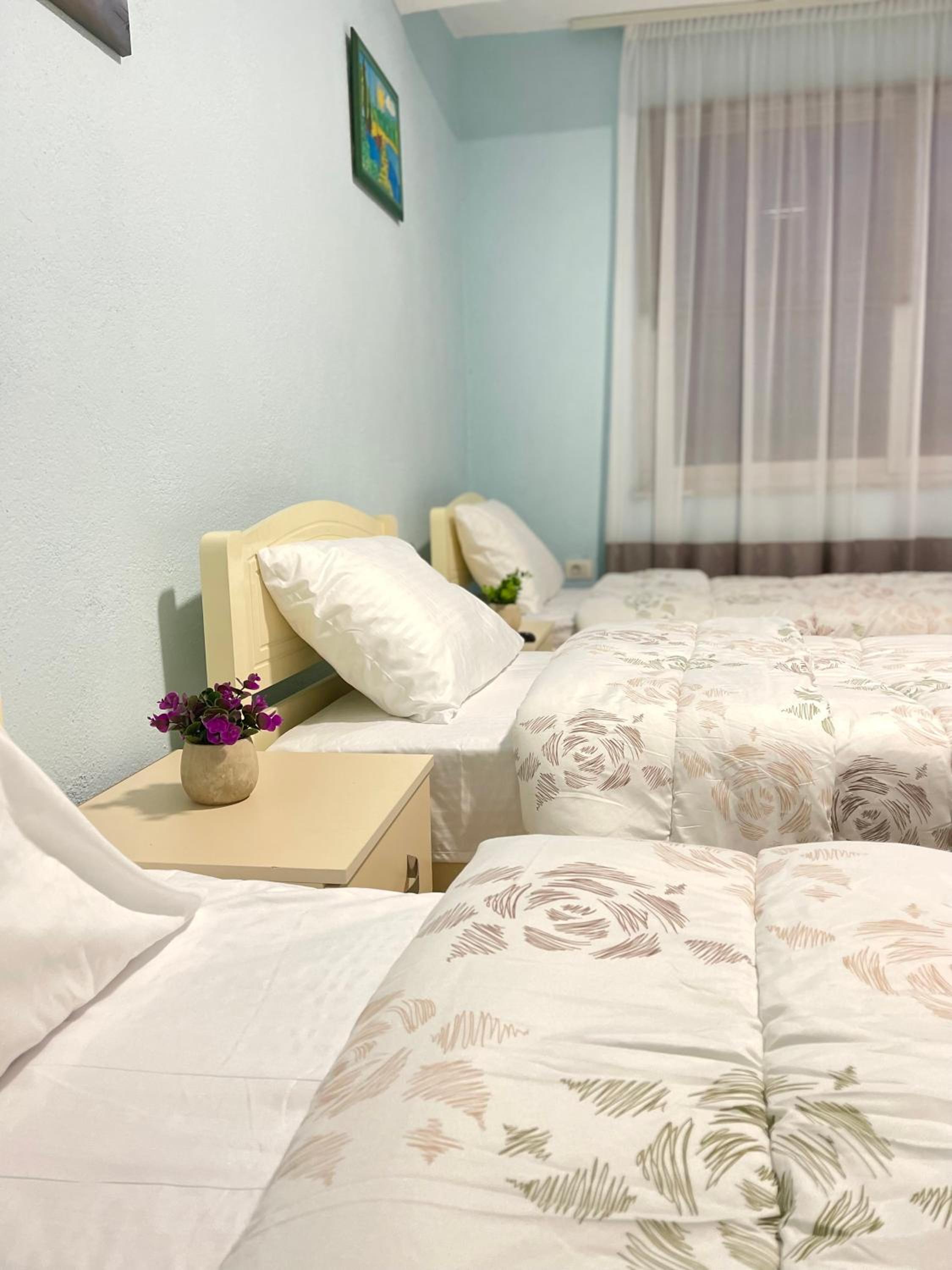 Shkodra Guest House & Trips