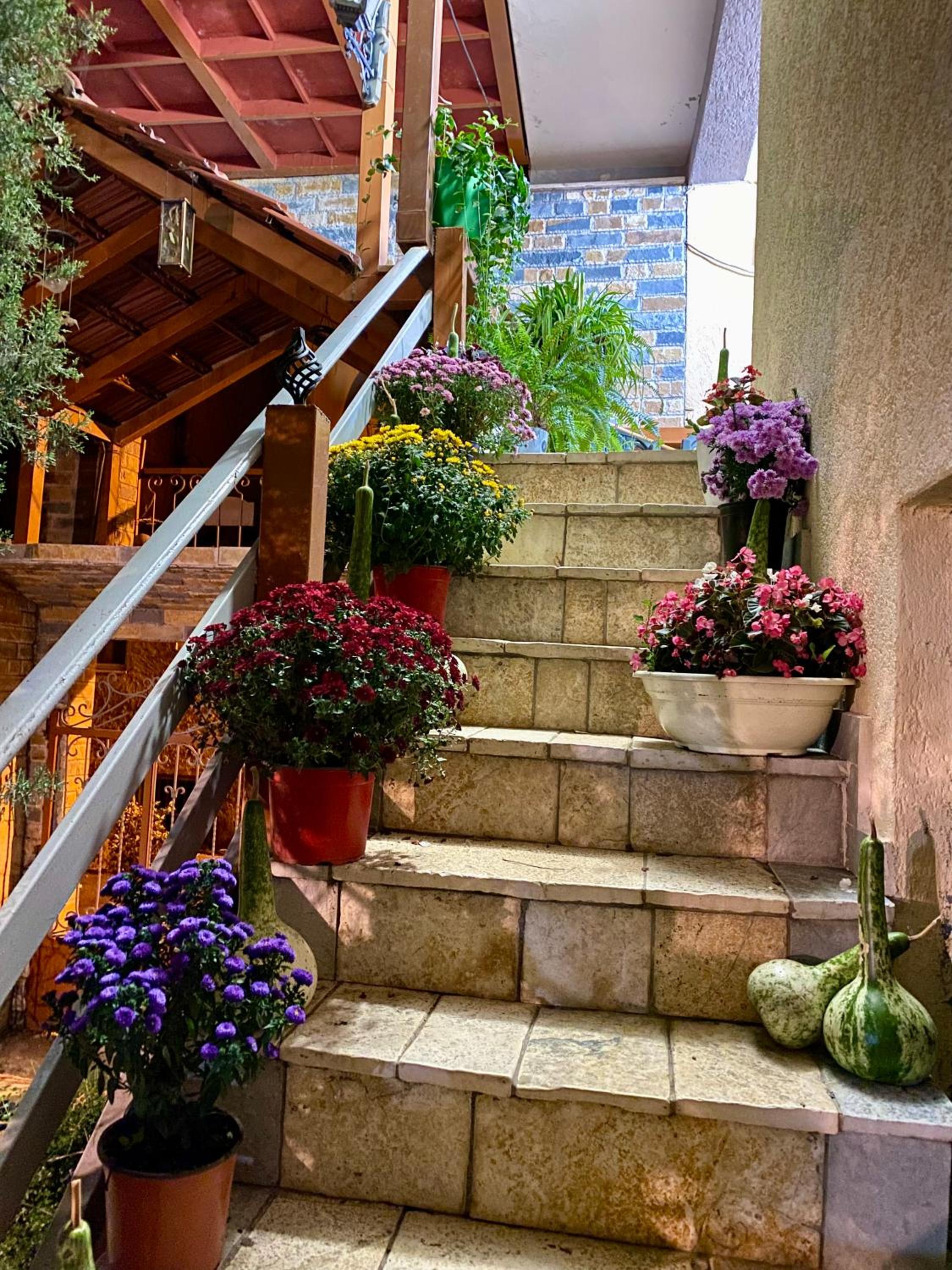 Shkodra Guest House & Trips
