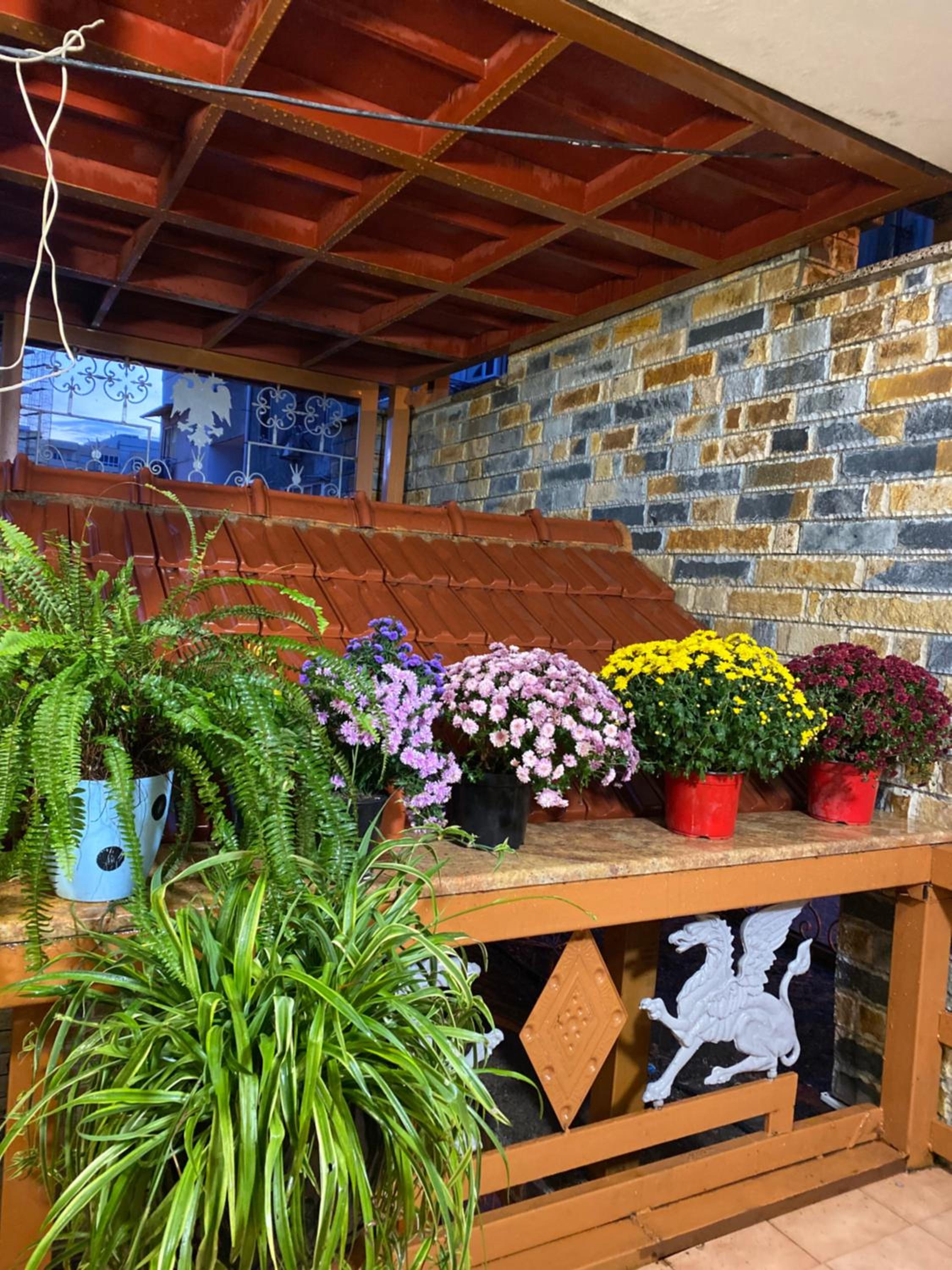 Shkodra Guest House & Trips