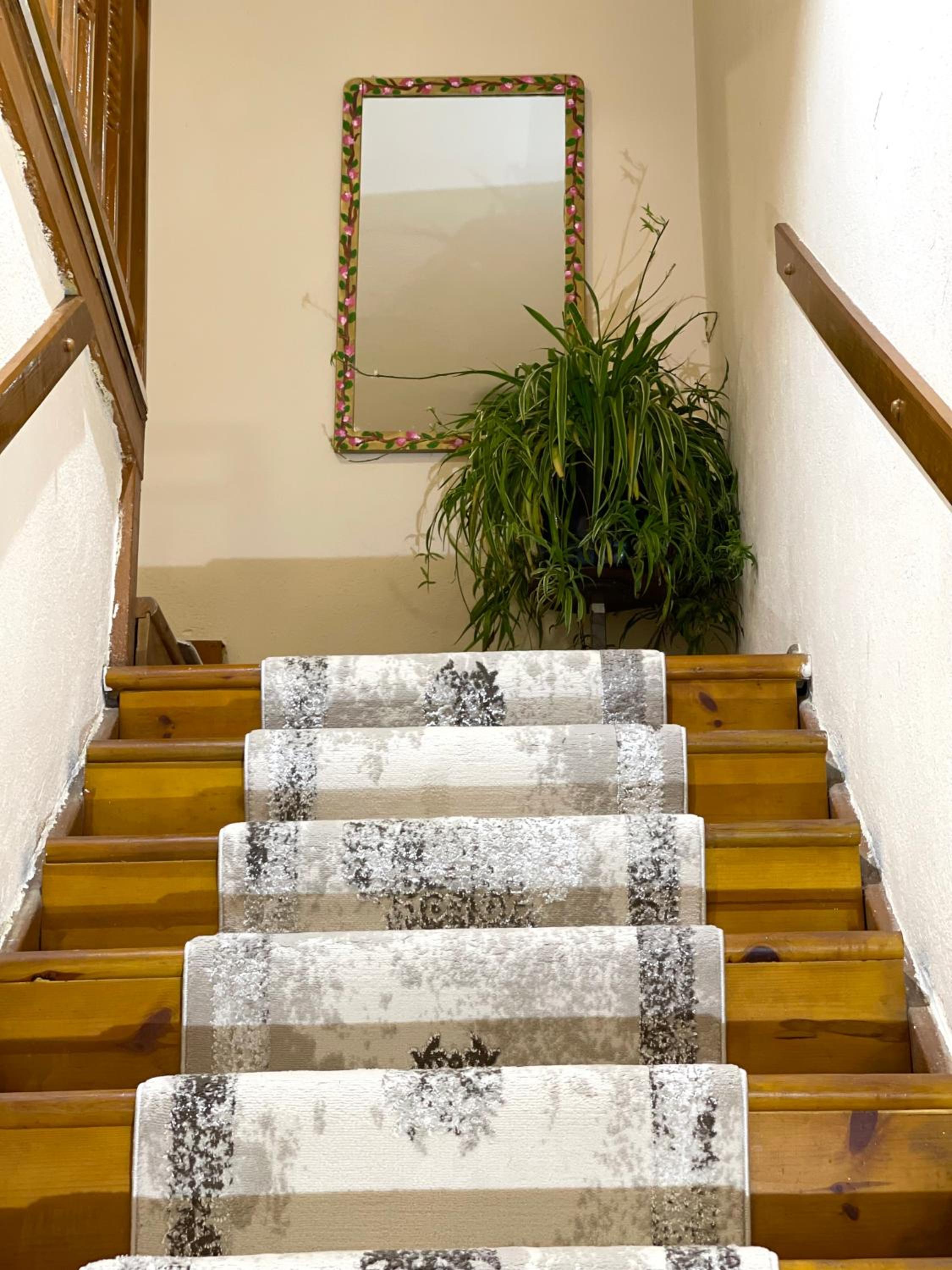 Shkodra Guest House & Trips