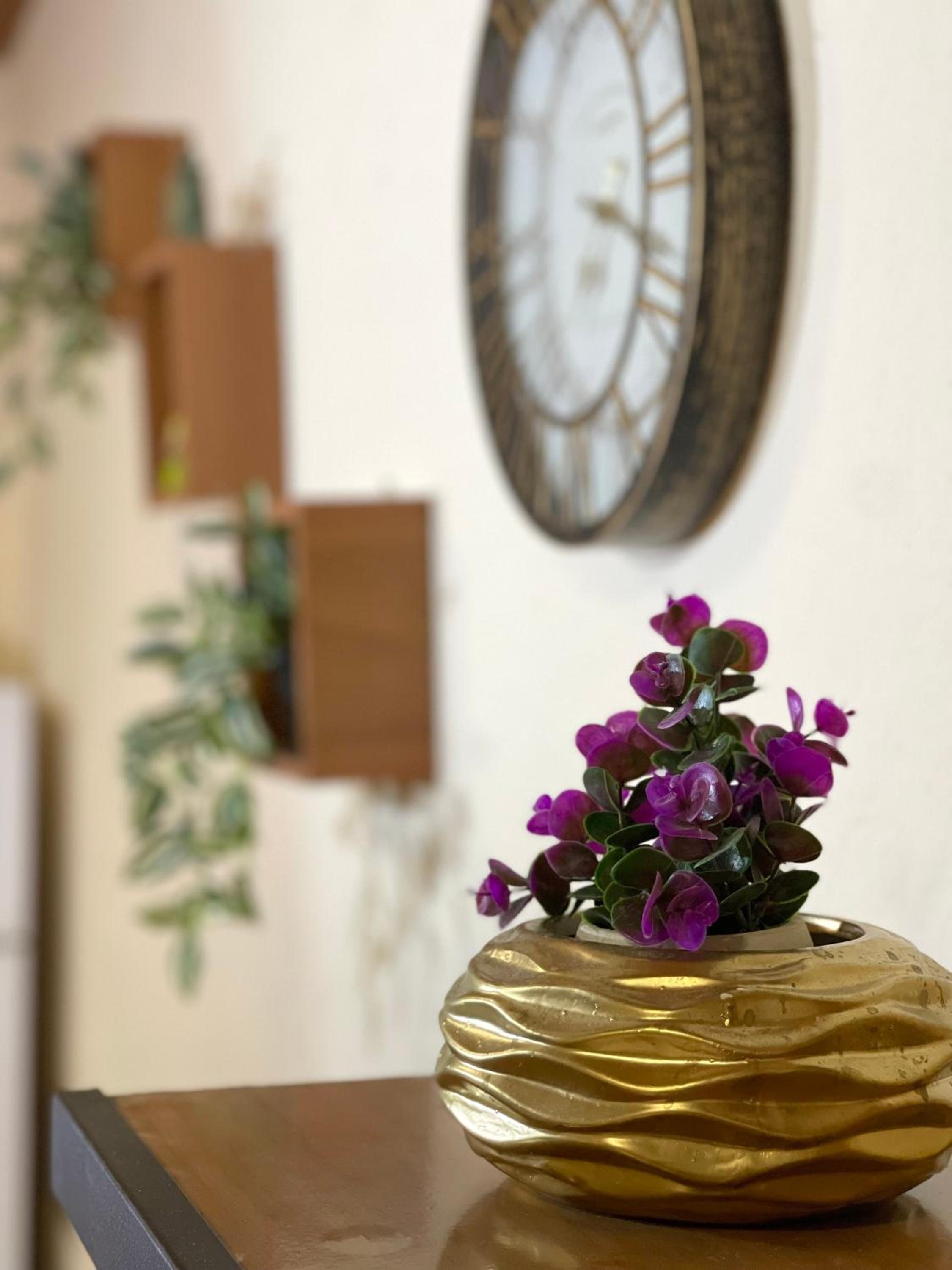 Shkodra Guest House & Trips