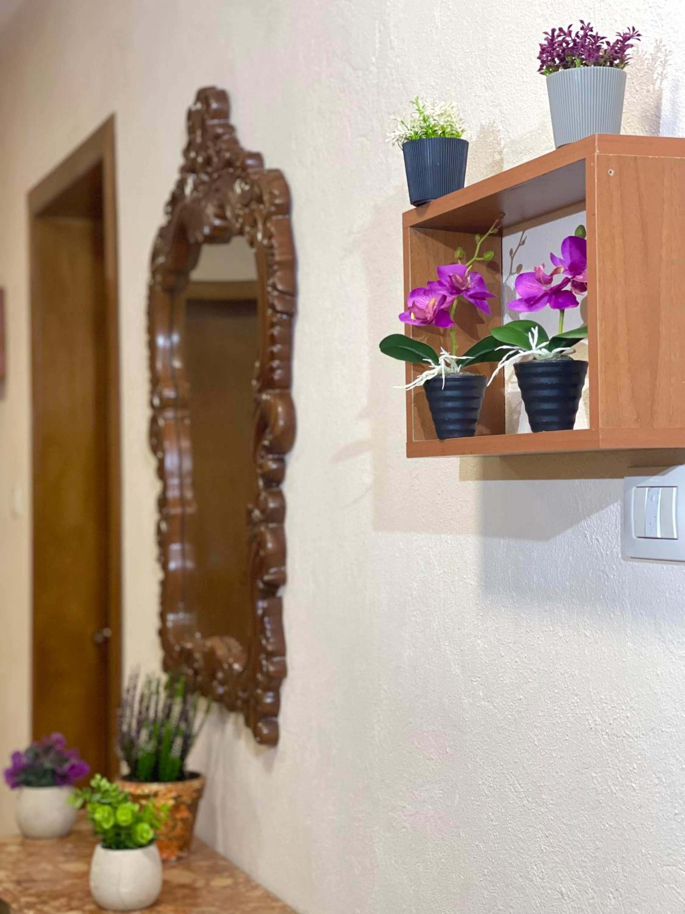 Shkodra Guest House & Trips