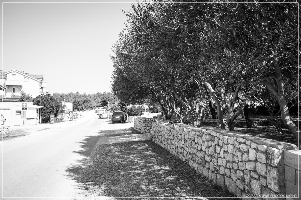 Photo 32
