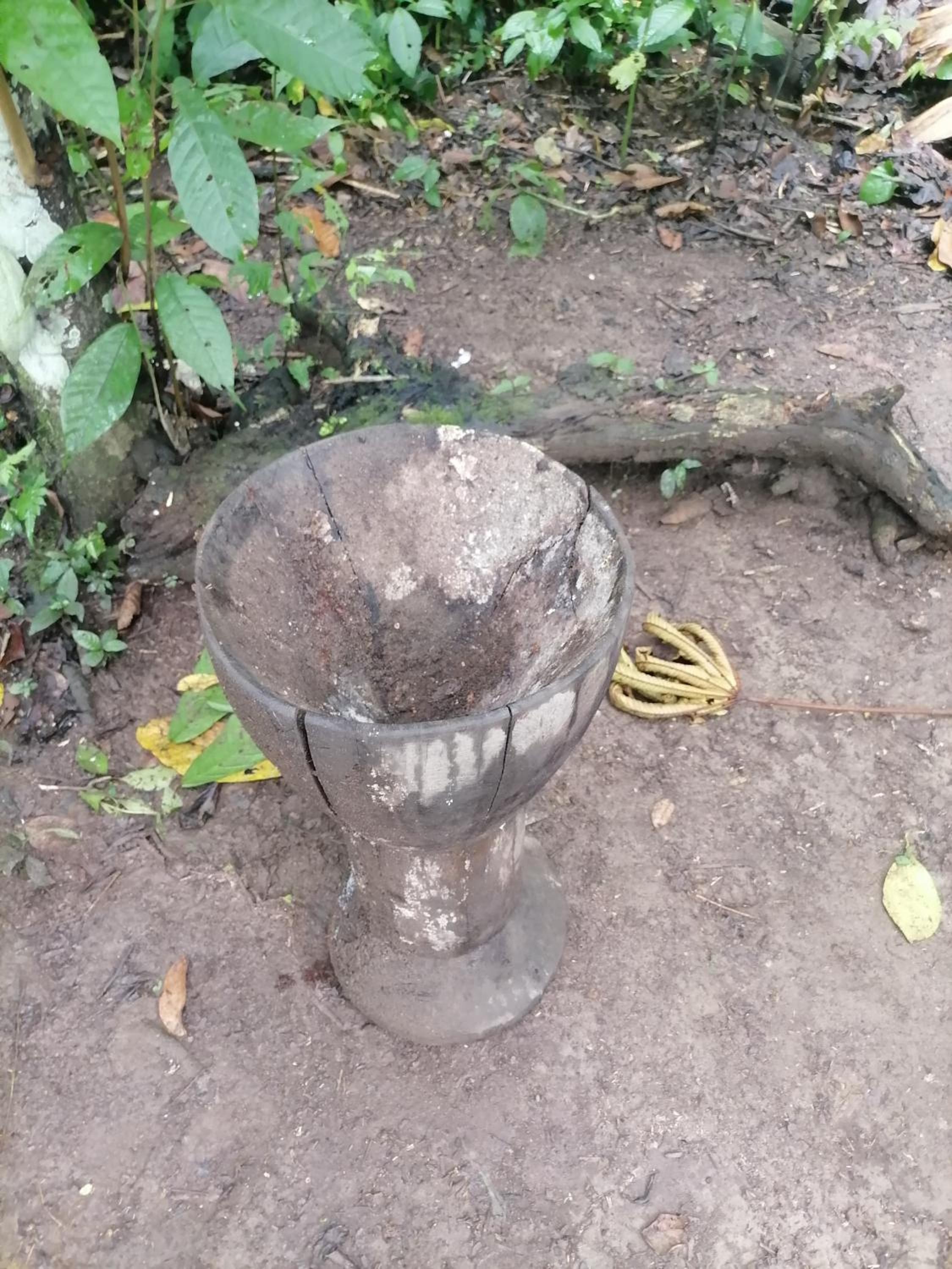 Ditsokata Ú