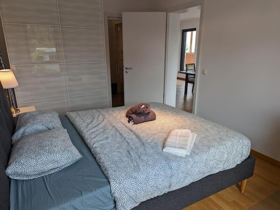 1 Bedroom Apartment with Garage & Outdoor Area in Kirchberg view 3