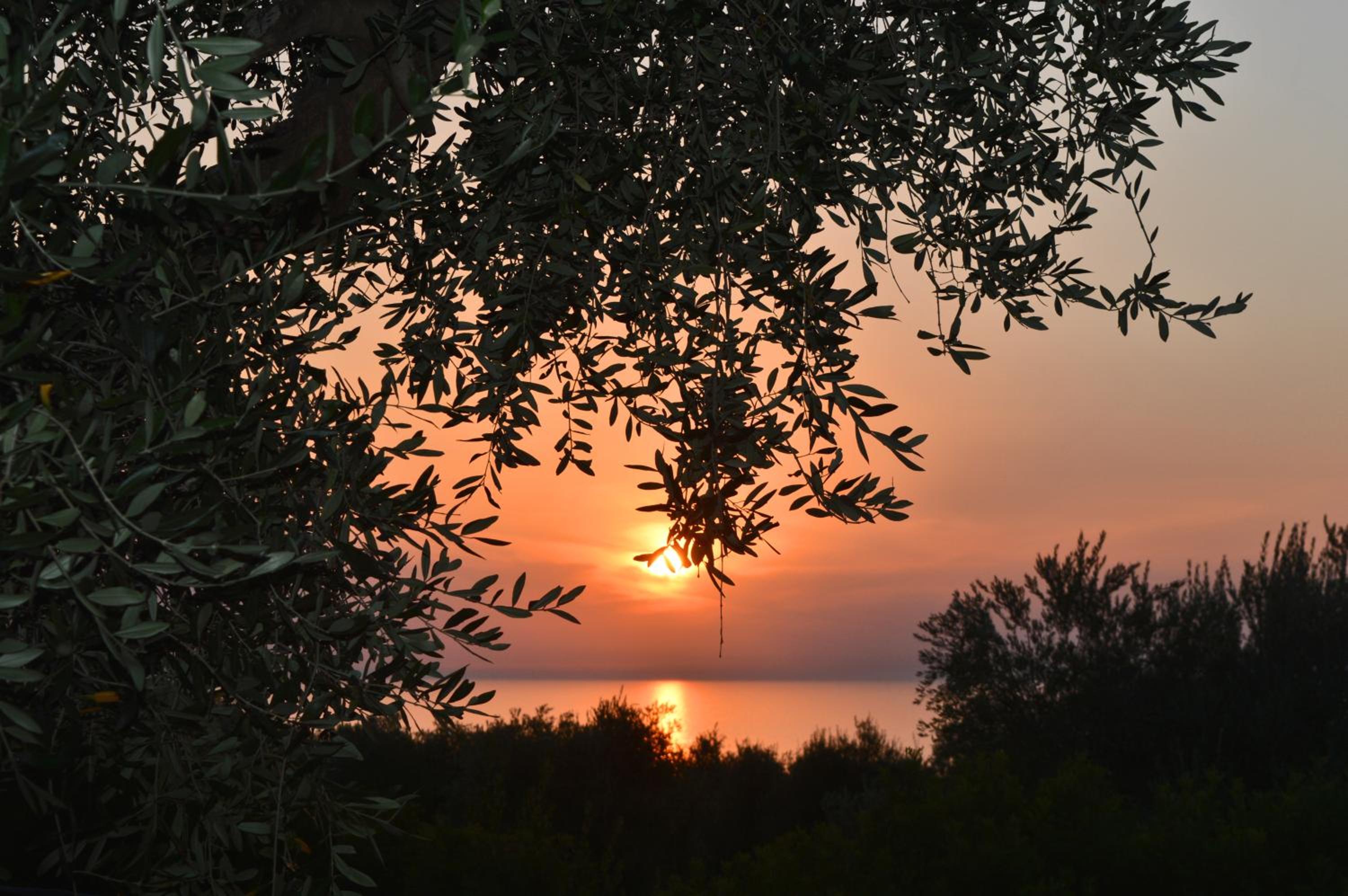Villaggio Uliveto - Family Experience
