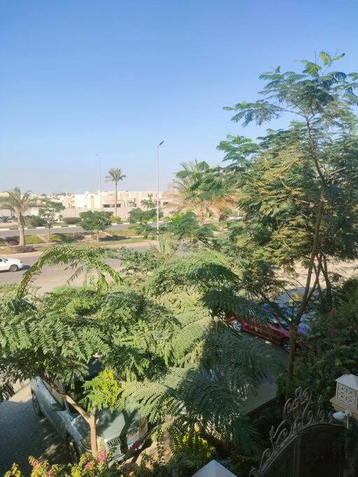 luxurious cairo festival star