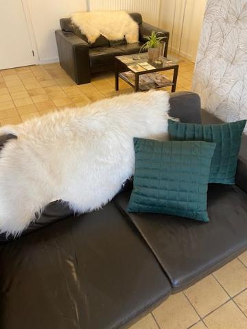 Vakantiewoning Het Wielje Maasland