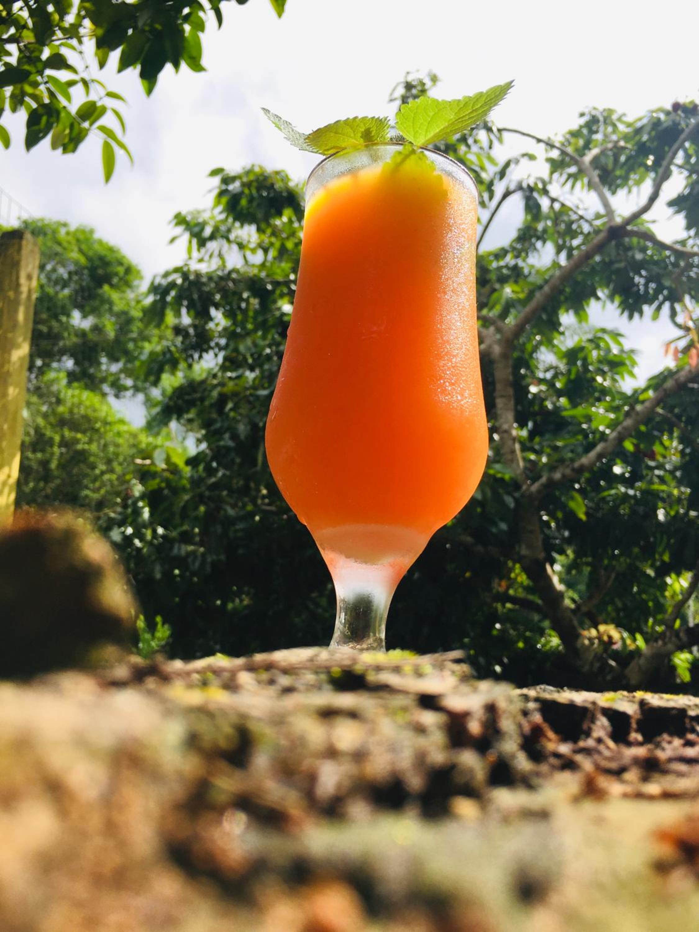 Rancho Caiçara