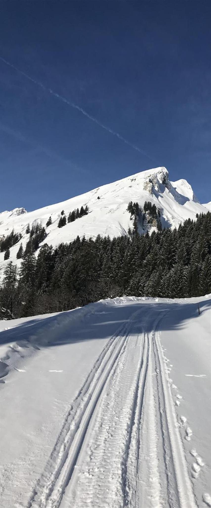 Almstube