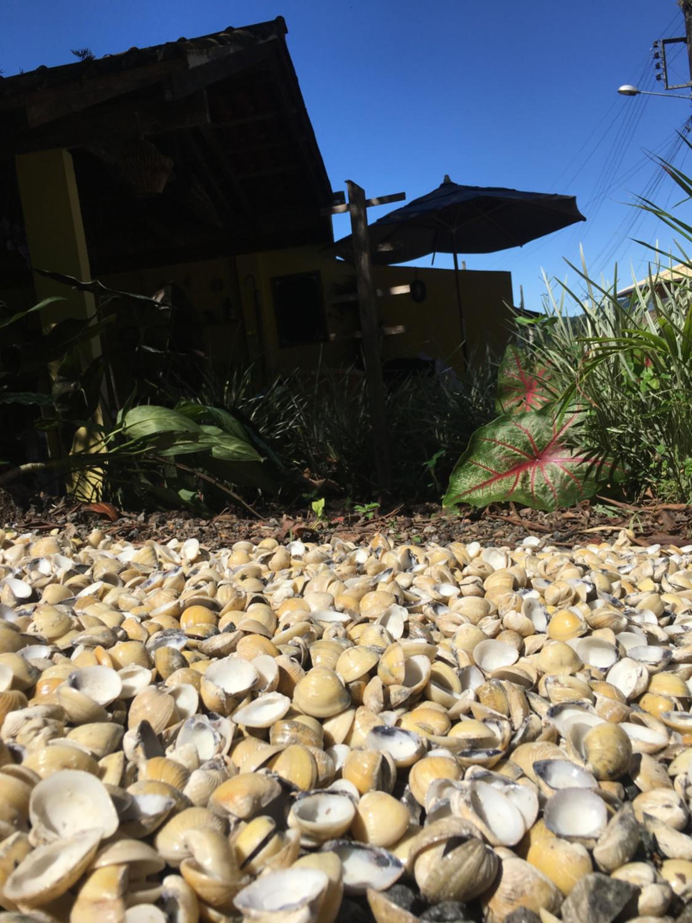Rancho Caiçara