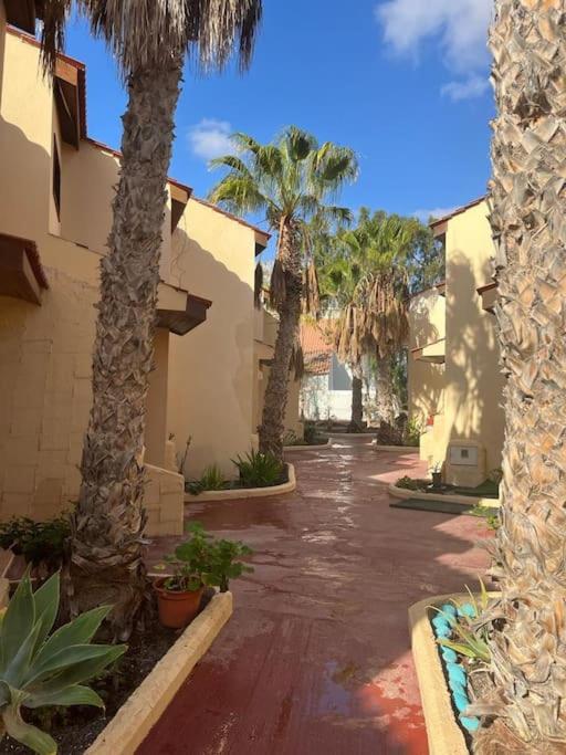 Casa Cactus Paraiso