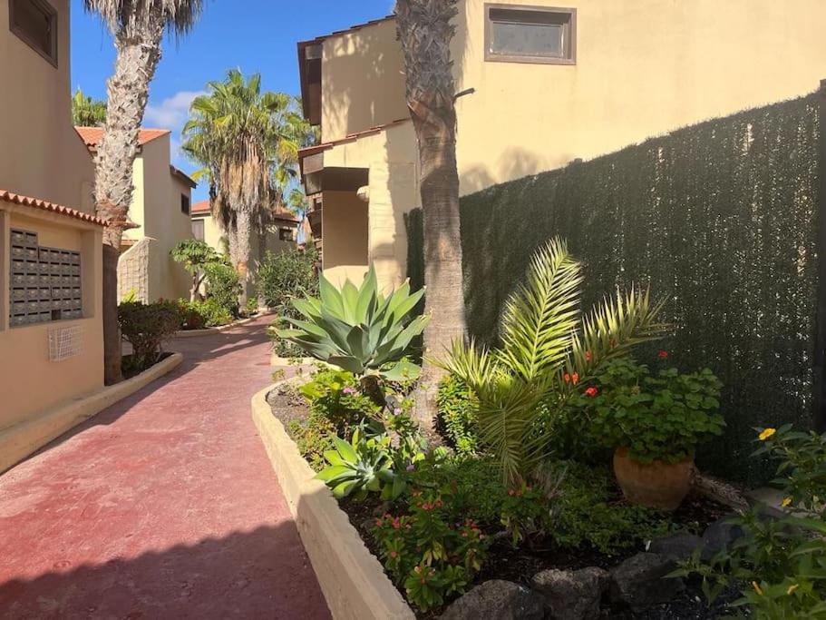 Casa Cactus Paraiso