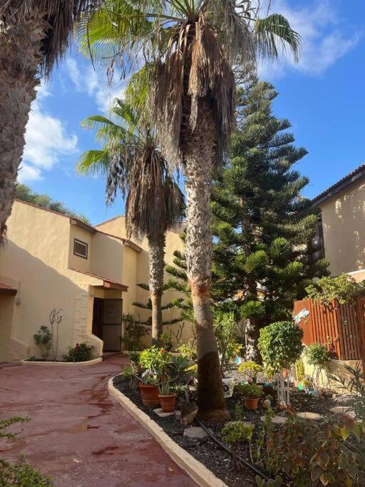 Casa Cactus Paraiso