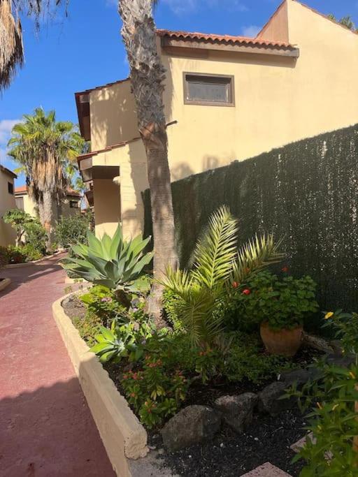 Casa Cactus Paraiso
