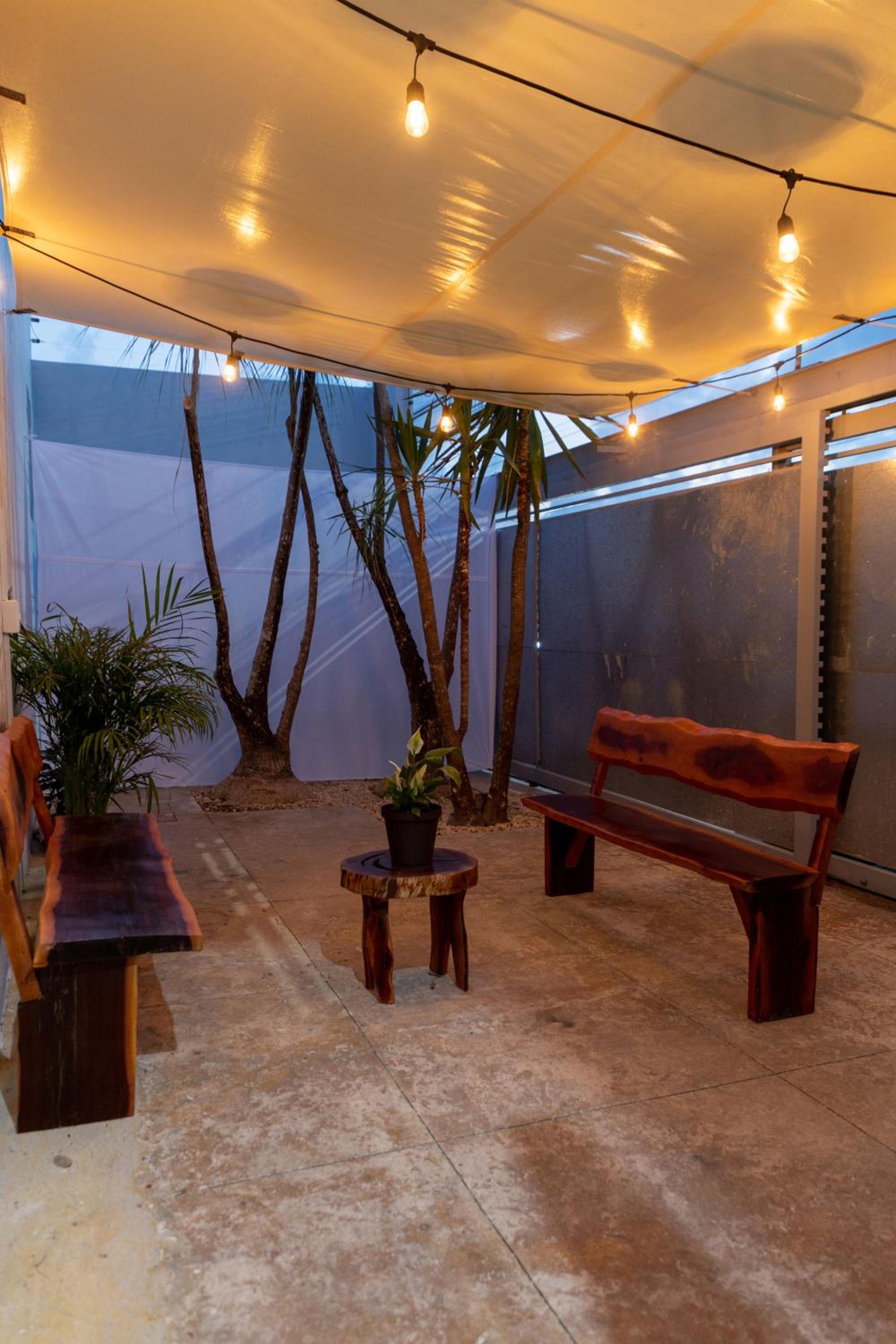 Casa Palmeras, totalmente privada!