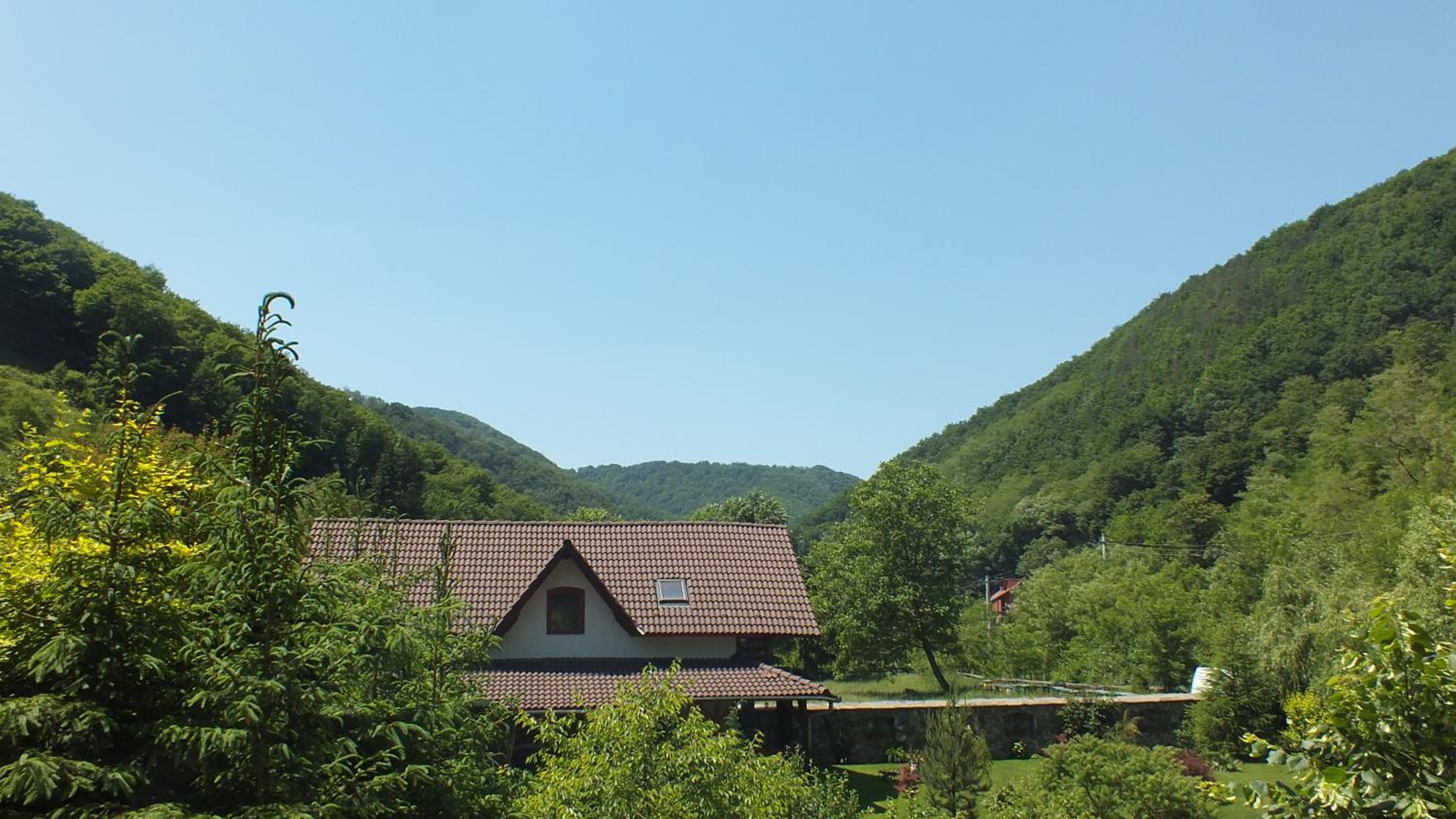 Photo 42