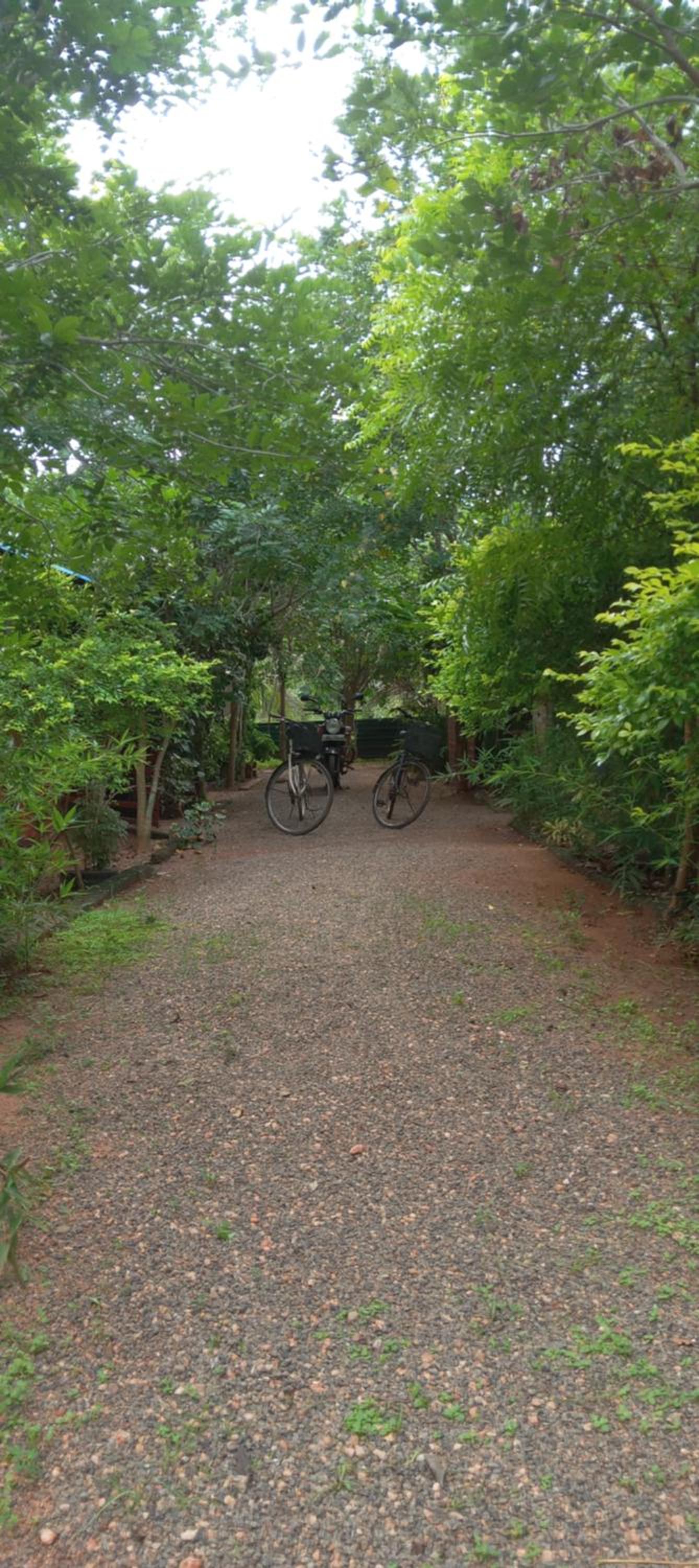 Photo 45