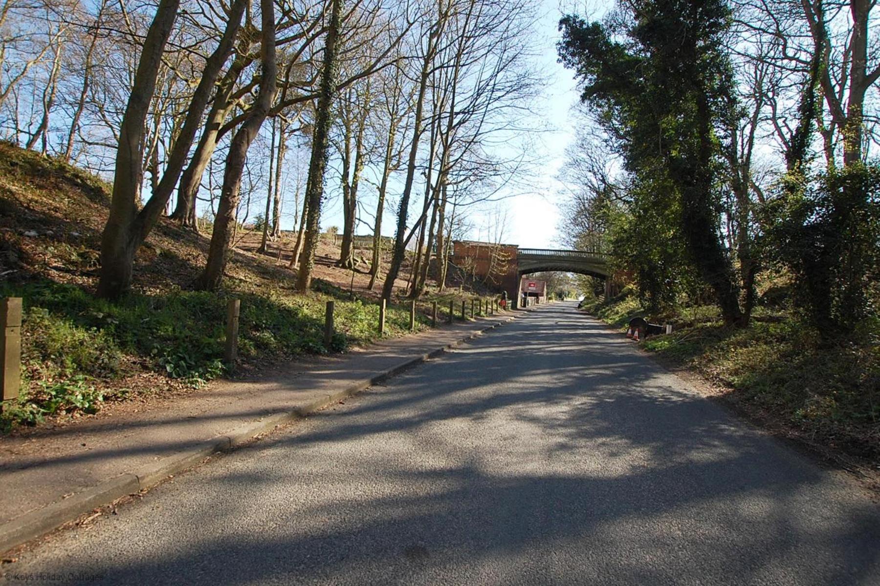 Photo 17